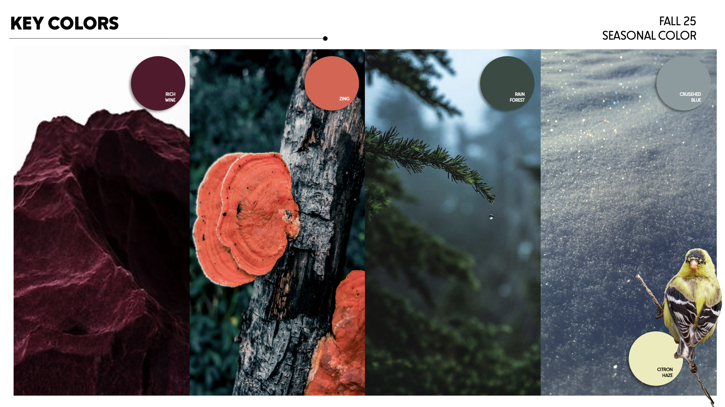 Screenshot 2024-03-20 at 7.10.20 PM.png