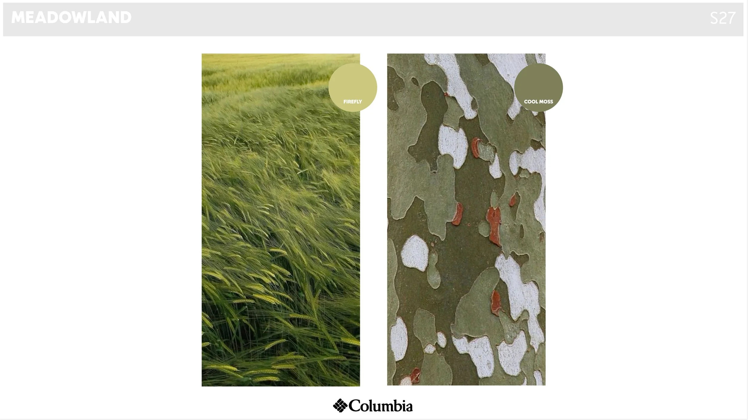 S27 COLOR TREND - MEADOWLAND.jpg