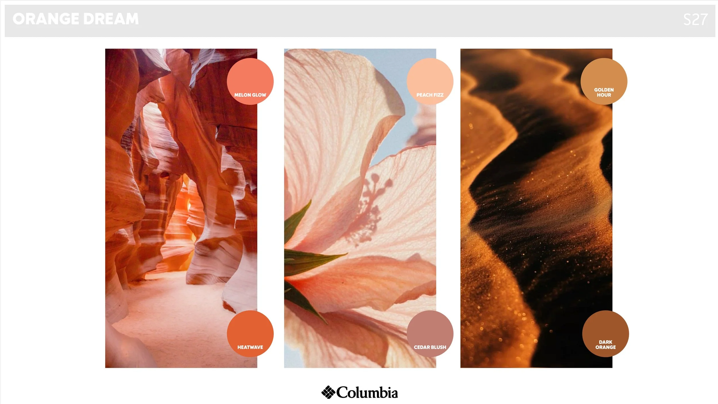 S27 COLOR TREND - ORANGE DREAM.jpg