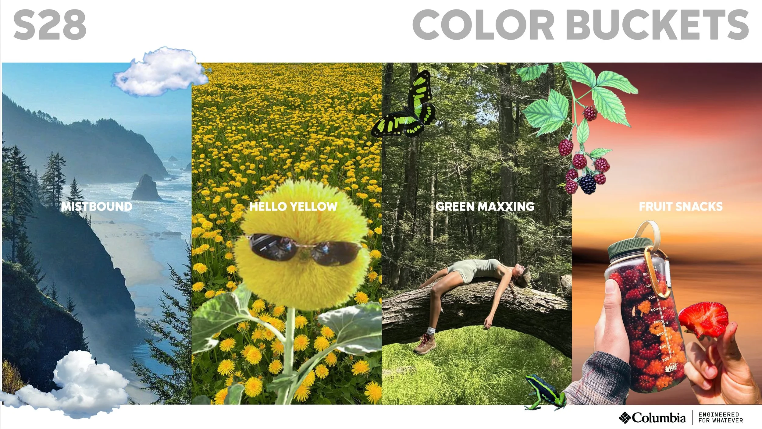 S28 Color Trend - COLOR BUCKETS.jpg