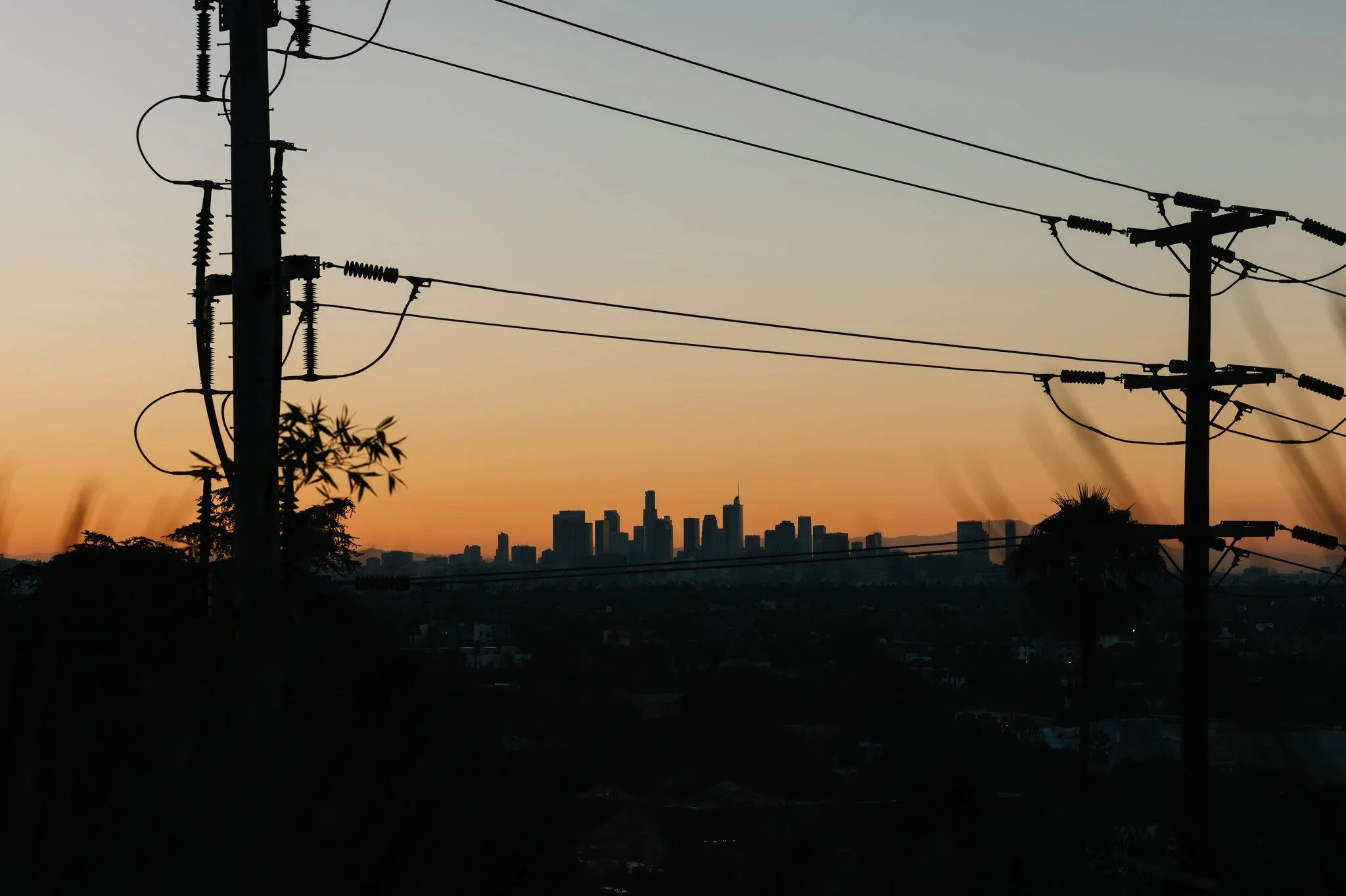 20082024-559A1077-Avec accentuation-Bruit.jpg