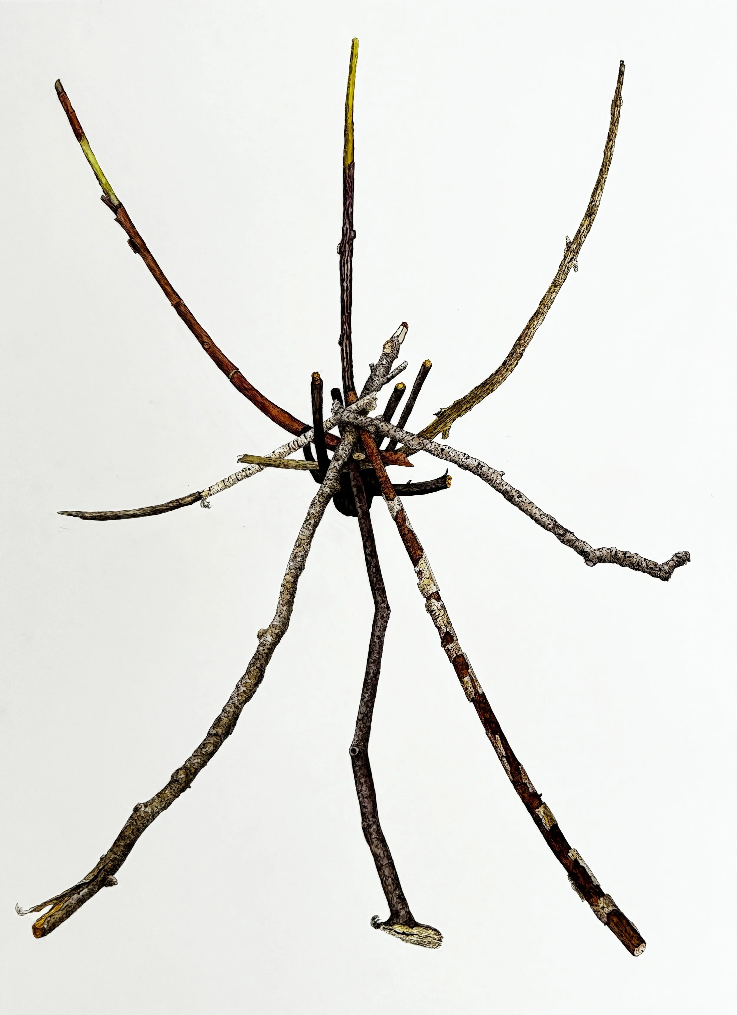 Knotting Point Shield