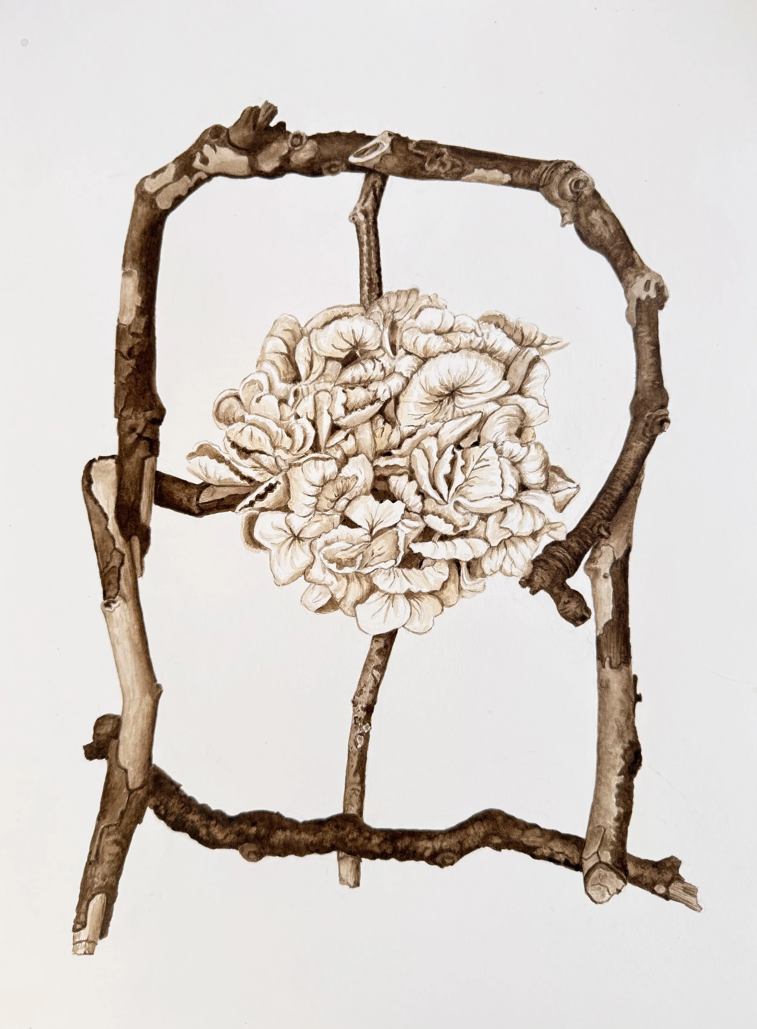 Victorian Shield, 16" x 12"