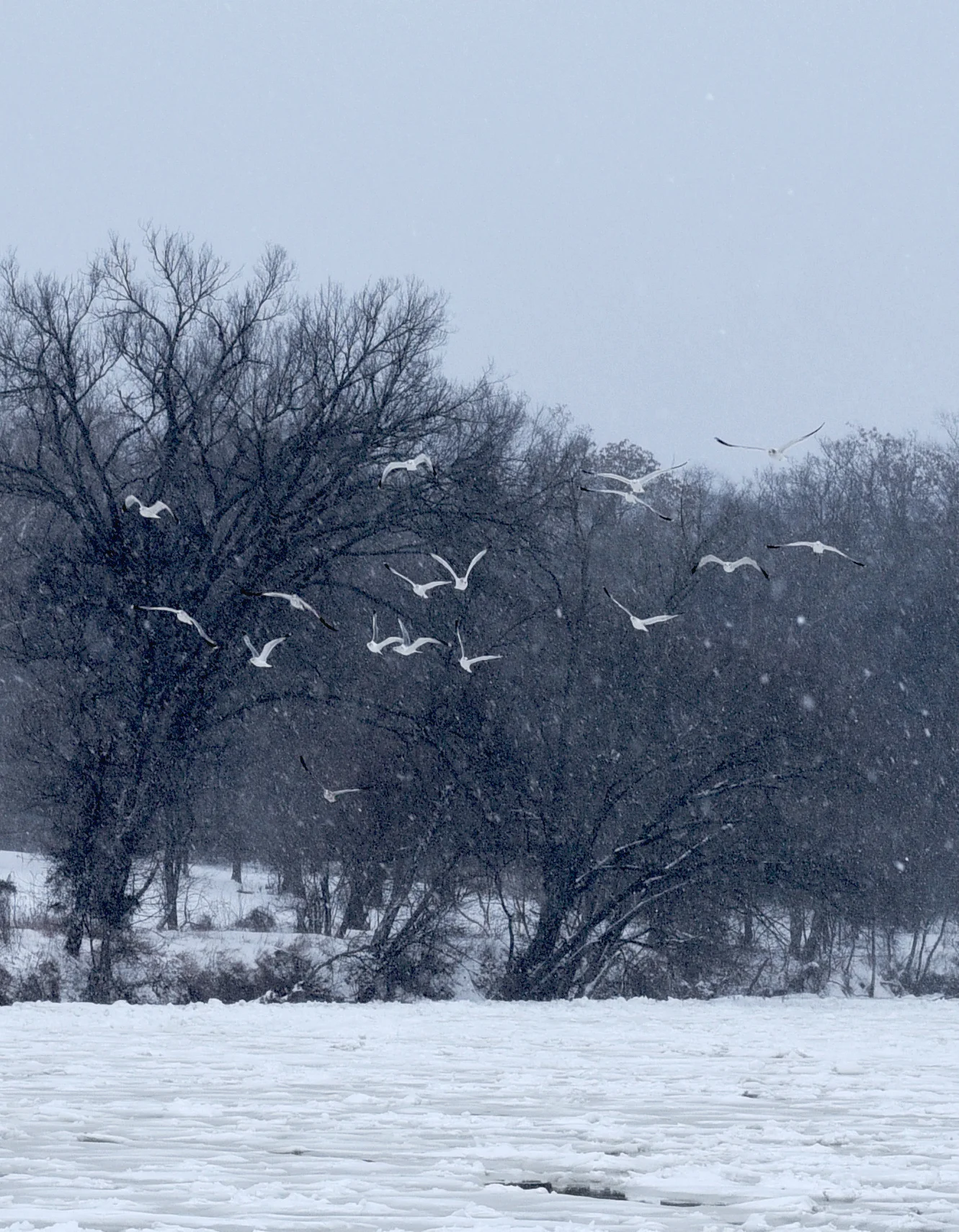 DSC_0485.JPG