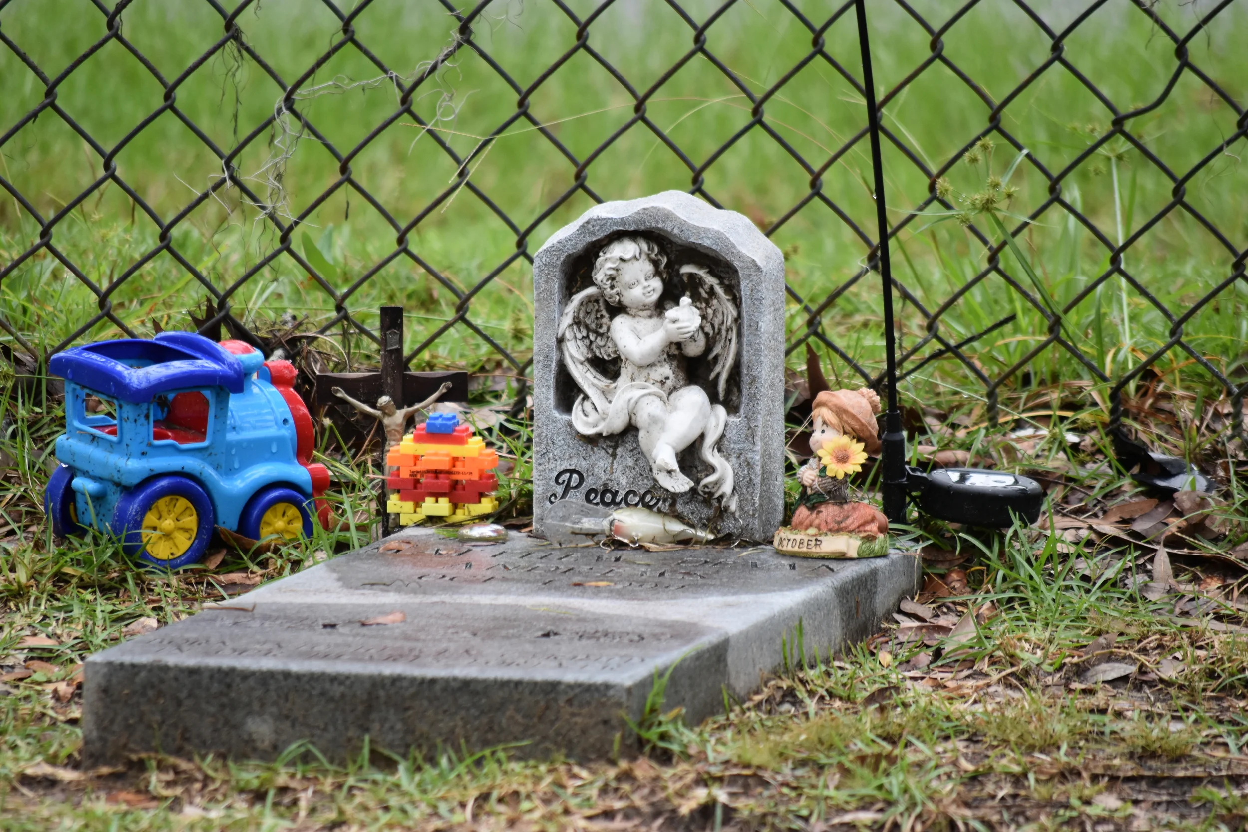 DSC_0995.JPG