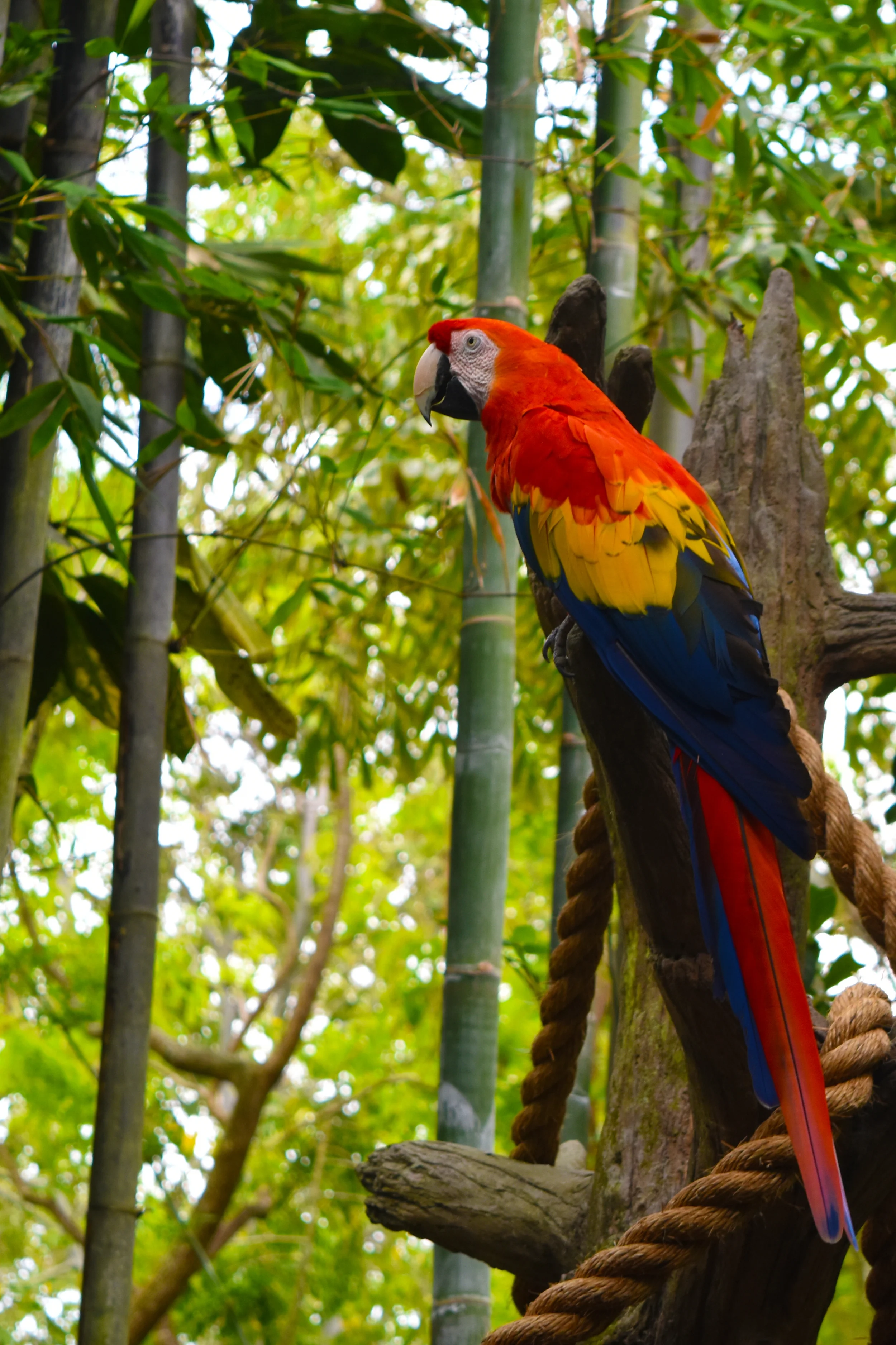 DSC_0463.JPG