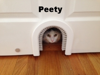 Peter