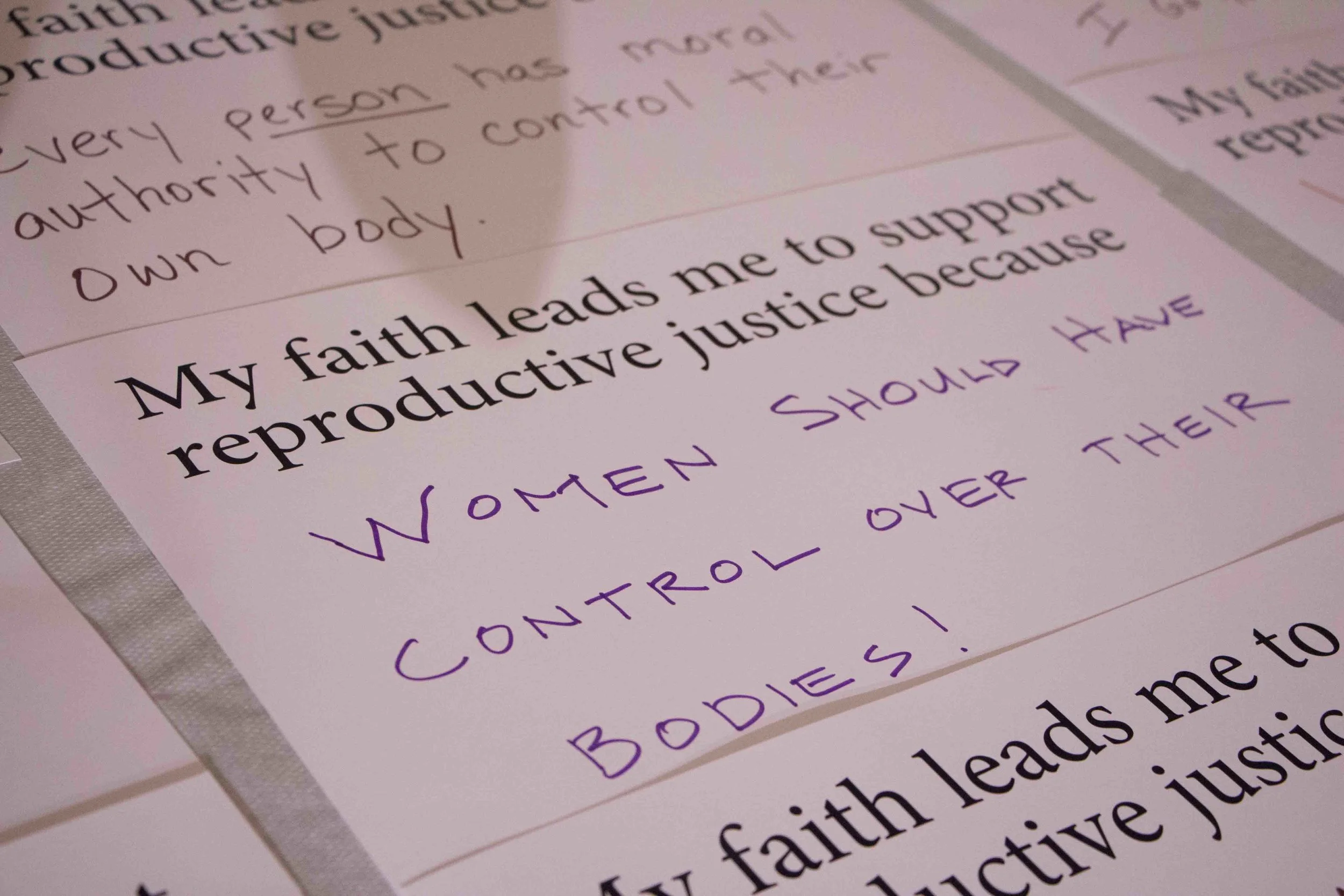 ReproRights5.04.14_10.jpg