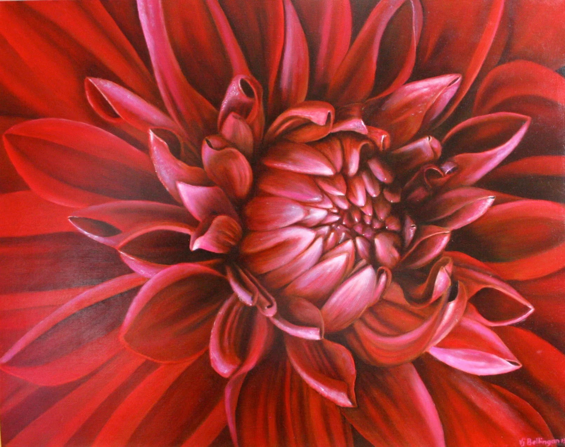 Dahlia