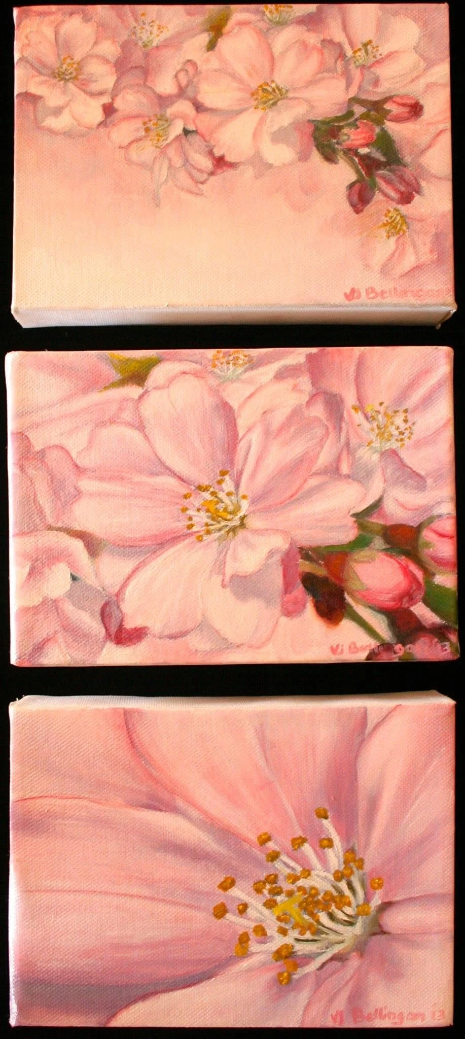 Pink lilies triptych