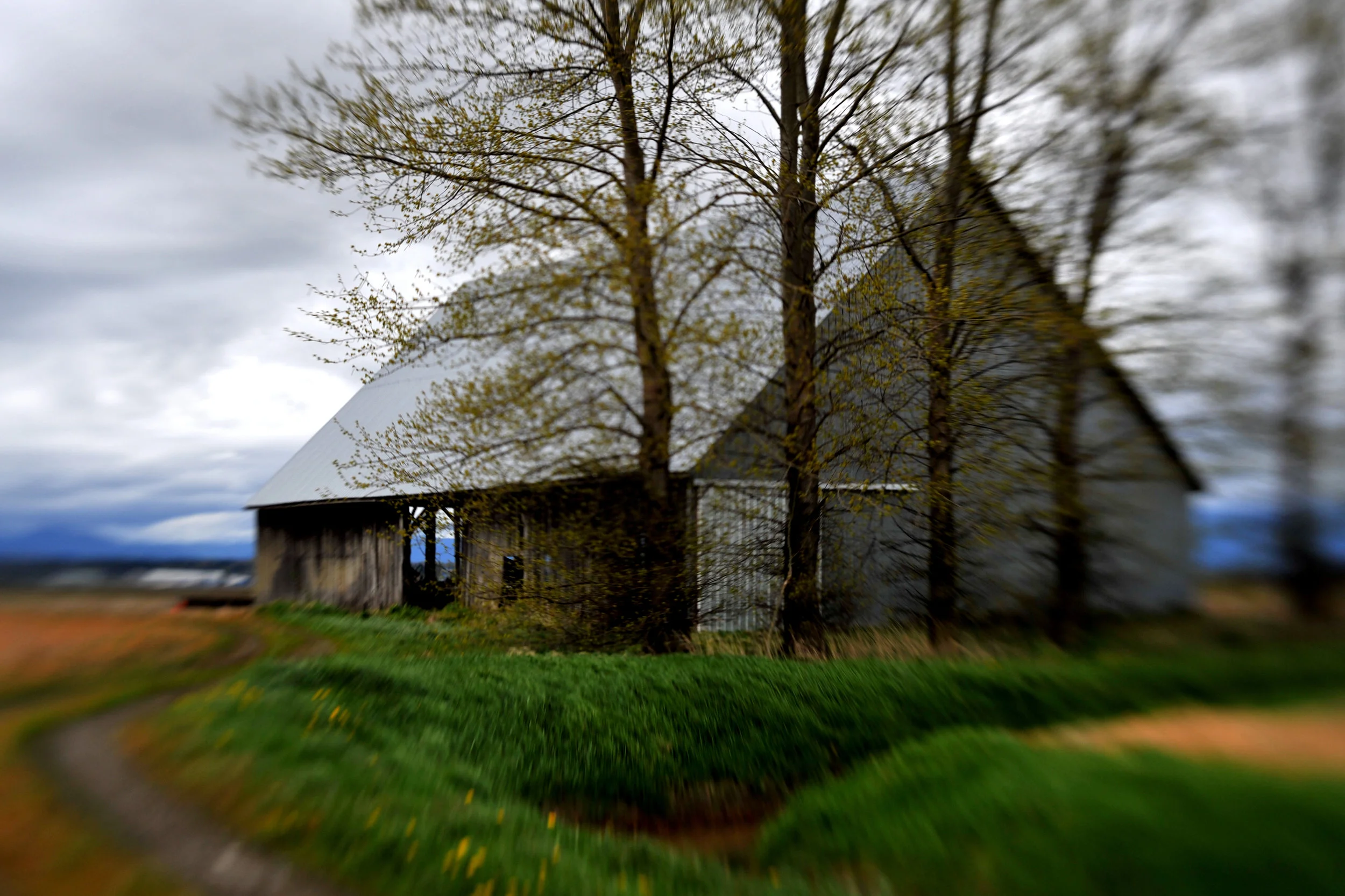 wa barn 2.jpg