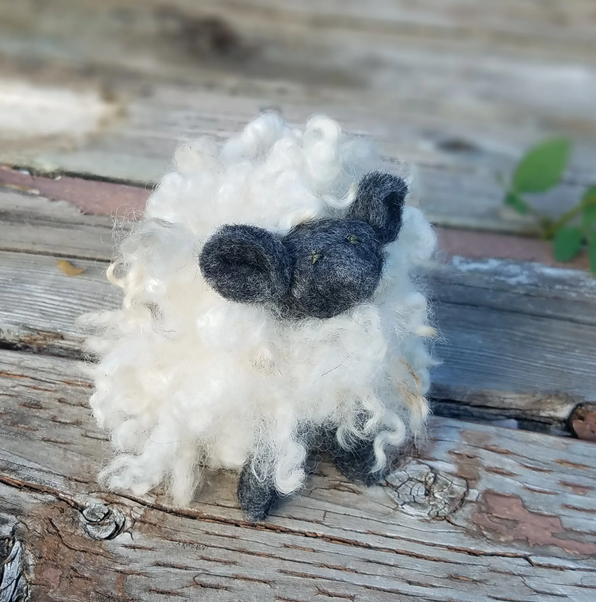 20180923_175102.jpg