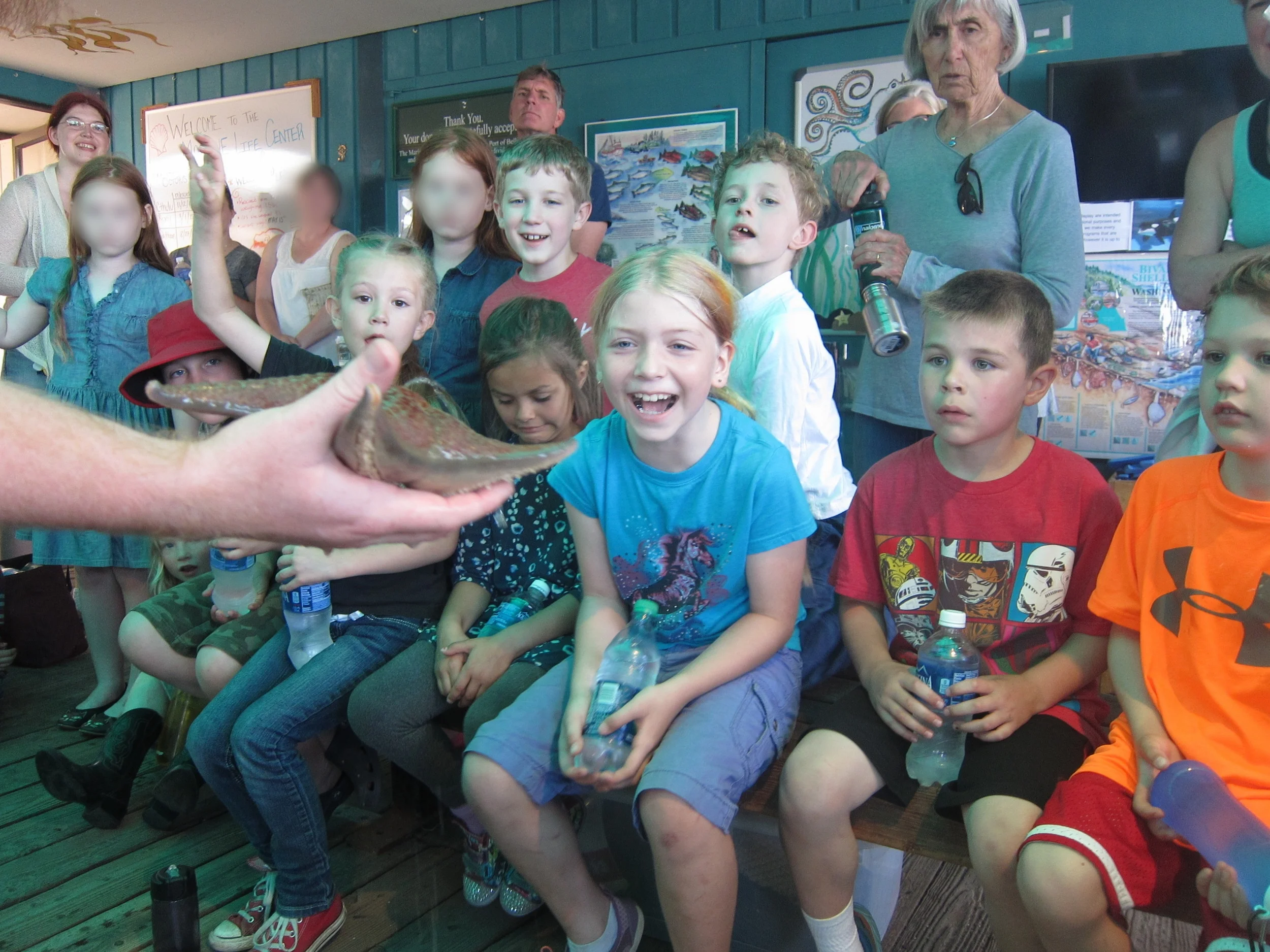 In this photo, Beach Elementary students visit the Marine Life Center as part of the Garden of the Salish Sea curriculum. View Garden of the Salish Sea's film Oystertopia: Stewards of the Salish Sea . This stunning film uses footage taken exclusively during Beach Elementary School workshops both on the beach located directly in front of our school and in the classrooms.