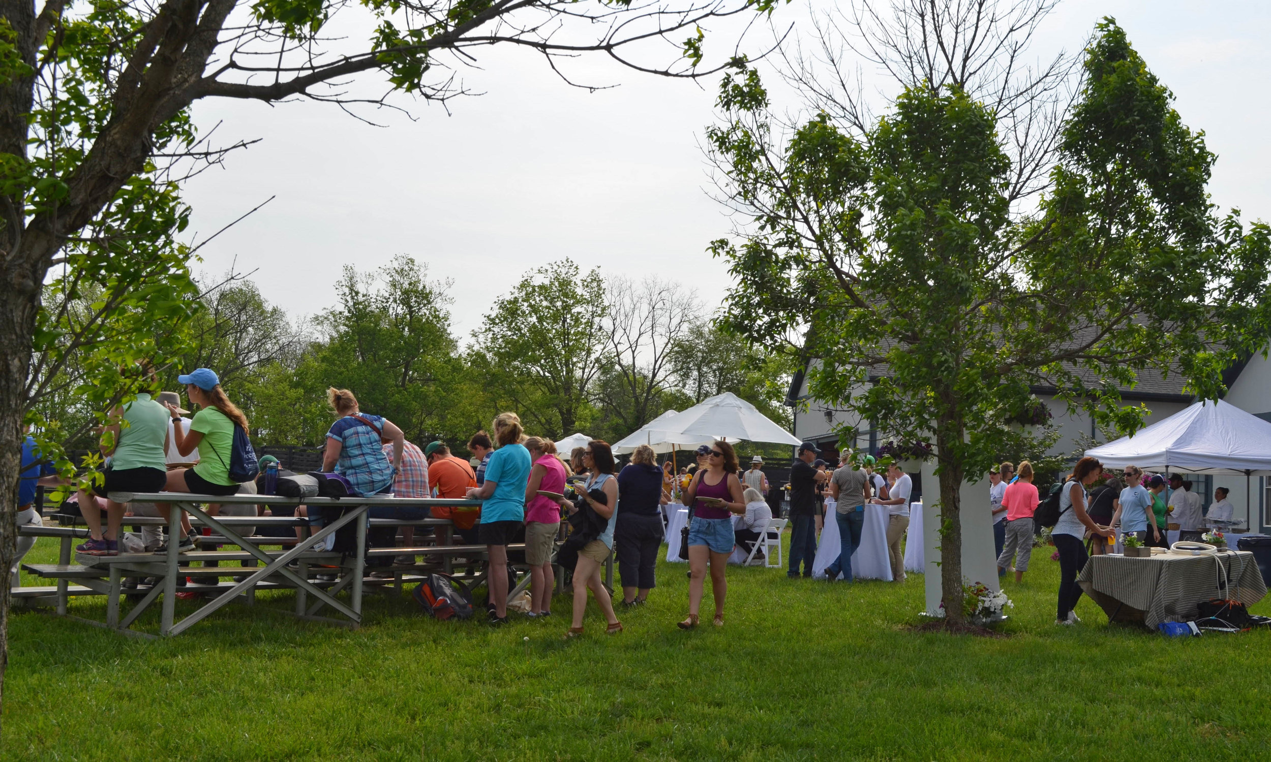 **OmeletteBrunch_043017_DSC_0050 cc.jpg