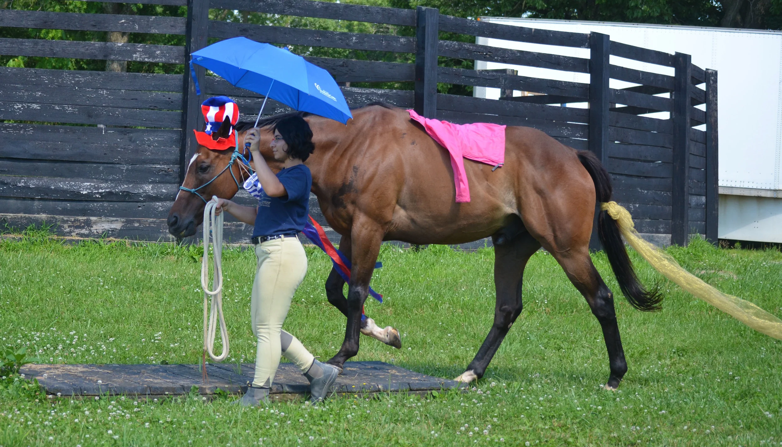Tower working over the MMSC obstacle course with intern Emily, in the “bombproofing” phase of his reschooling.