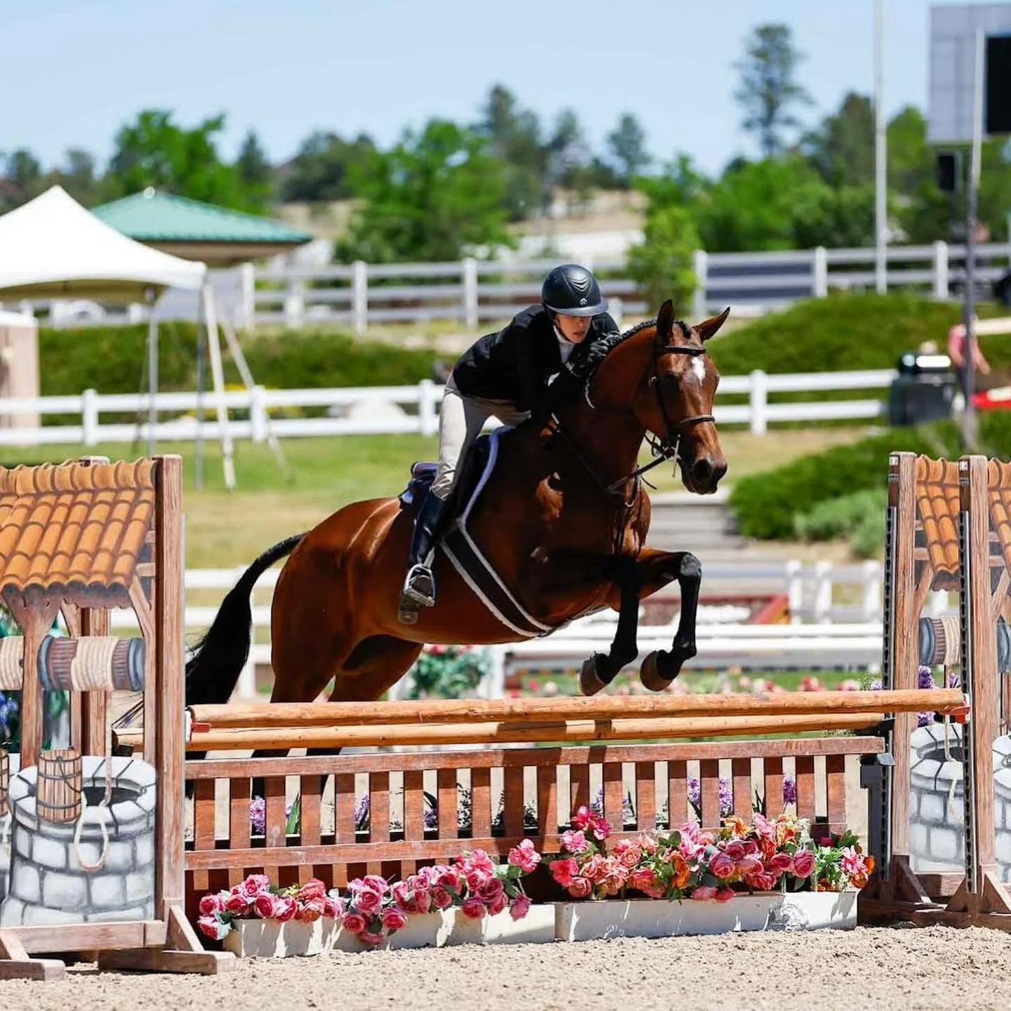 GRADUATE SPOTLIGHT! 🔦
&ldquo;Coincidence (adopted Oct. 2020) represented as a Secretariat Center graduate at the Summer in the Rockies Week 2 at the Colorado Horse Park in the Adult Amateur Hunter Division and the USHJA hunters. She was an absolute 