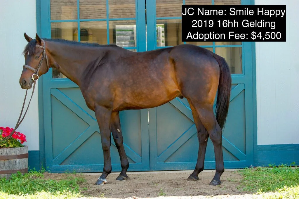 4ce886b5-67b4-48df-a3e0-b4110d46055d (1).jfif