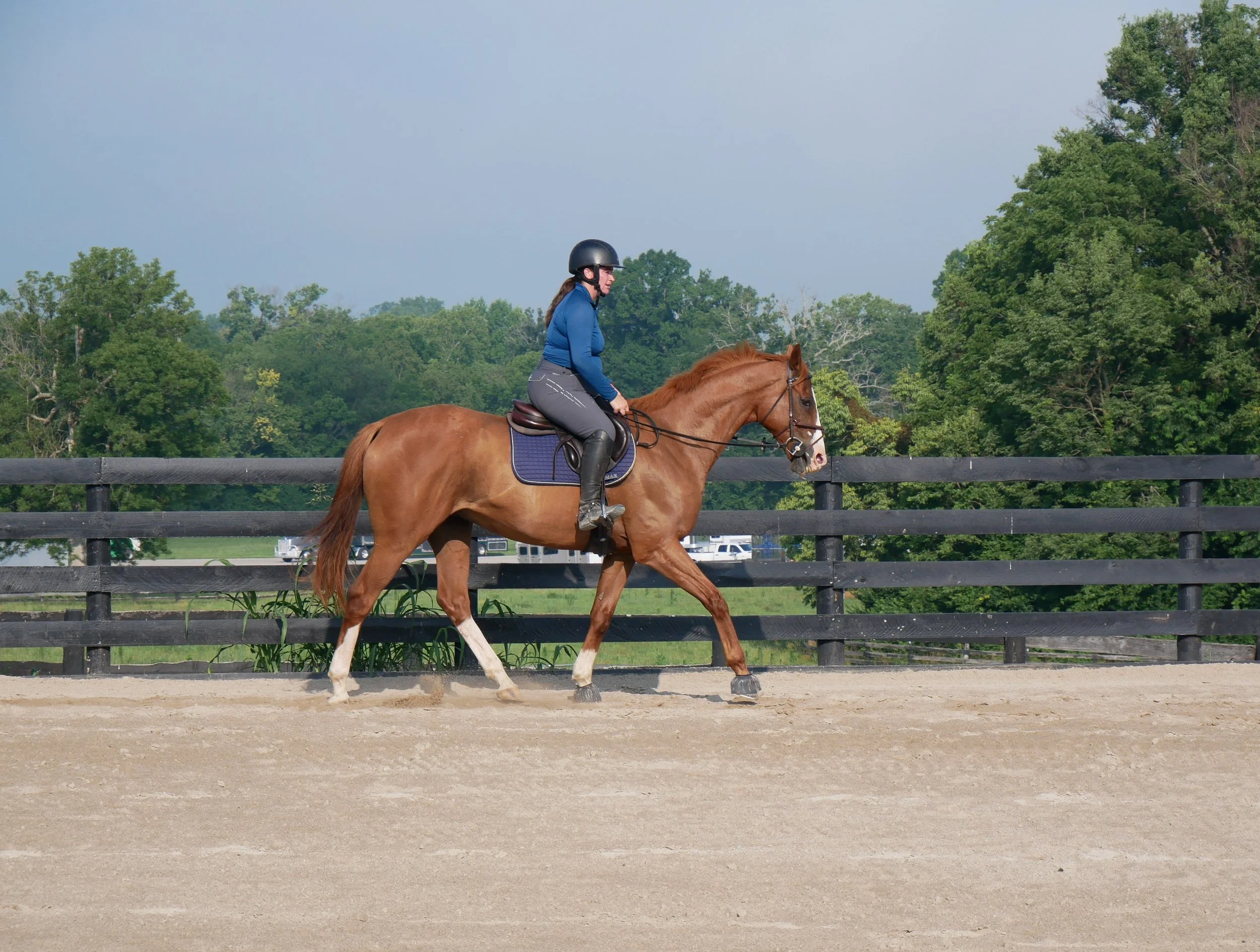 Pirate Under Saddle Pic.jpg