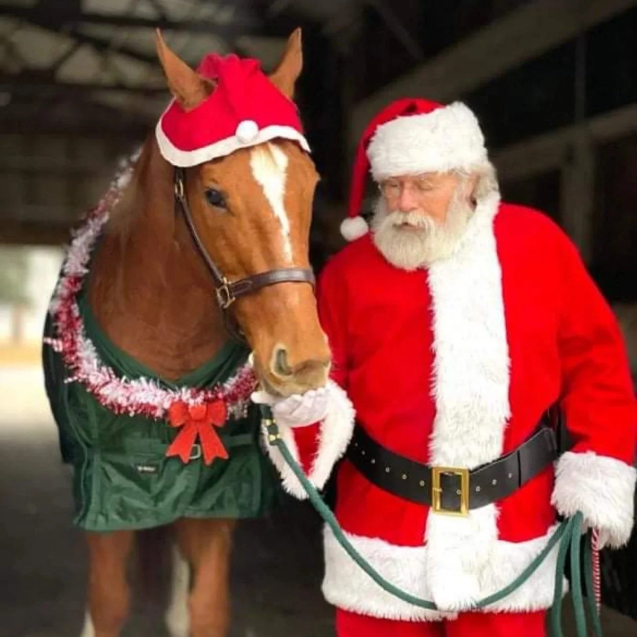 Santa Claus with a white beard wearing a red coat, glasses, and a red Santa hat standing beside a brown horse. The horse is also dressed with a Santa hat, a green blanket, and a festive collar. They are indoors or in a barn.