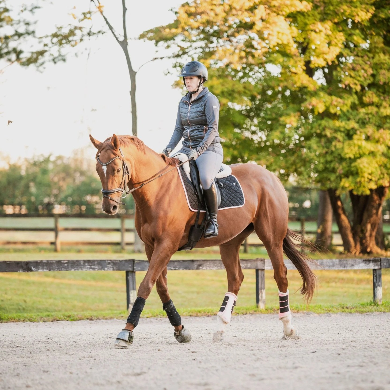 A person riding a brown horse in an outdoor riding arena, wearing a helmet, riding jacket, and riding boots, with a fenced area and trees with autumn leaves in the background.