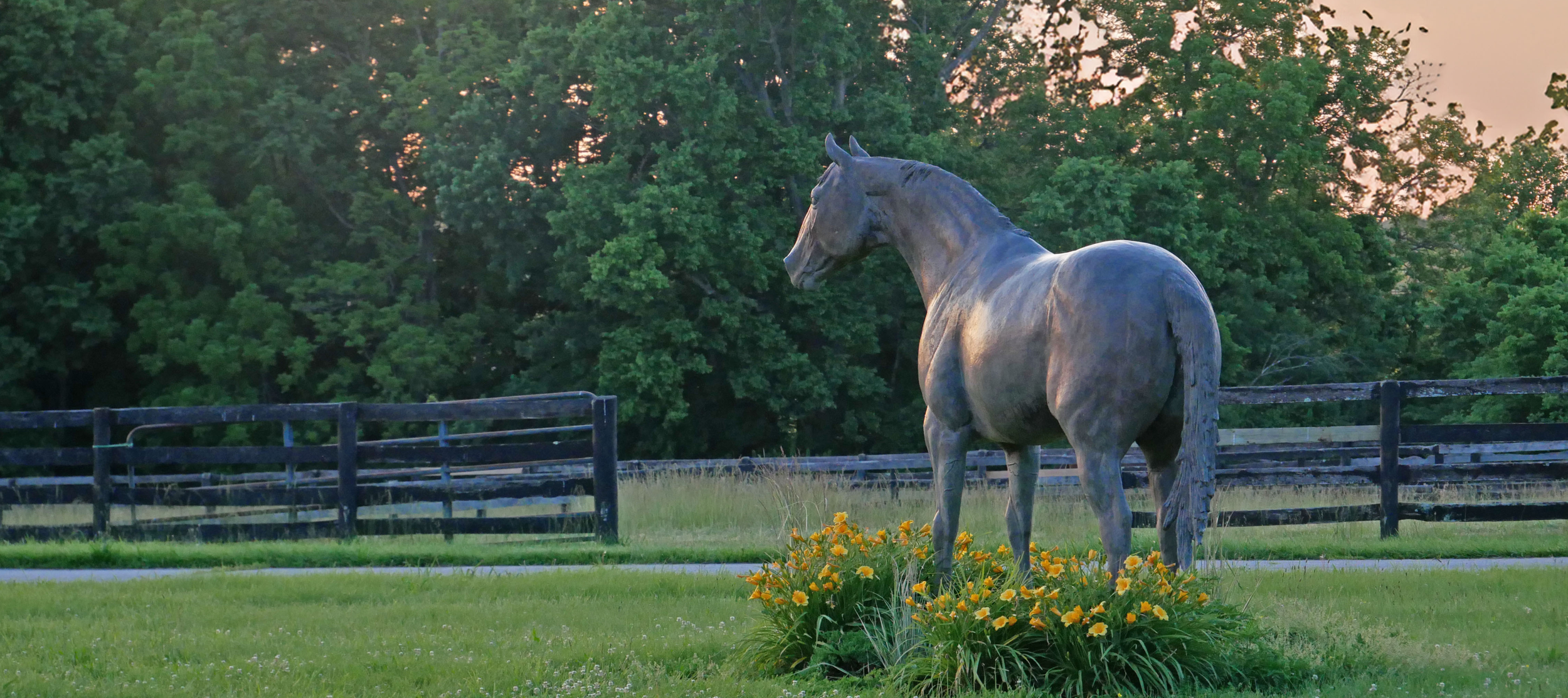 Media Kit Banner.png