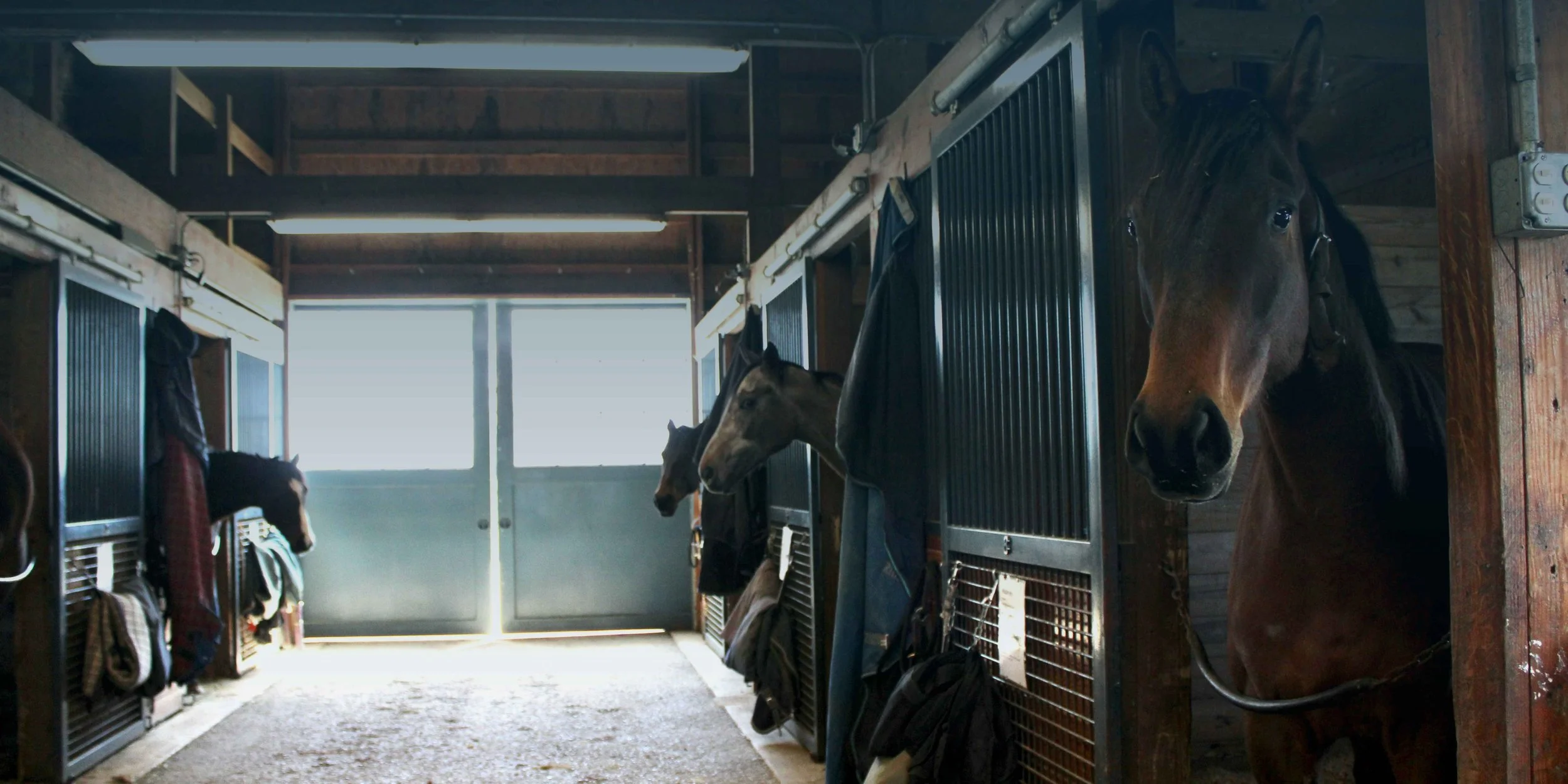 Sponsor a stall banner.jpg