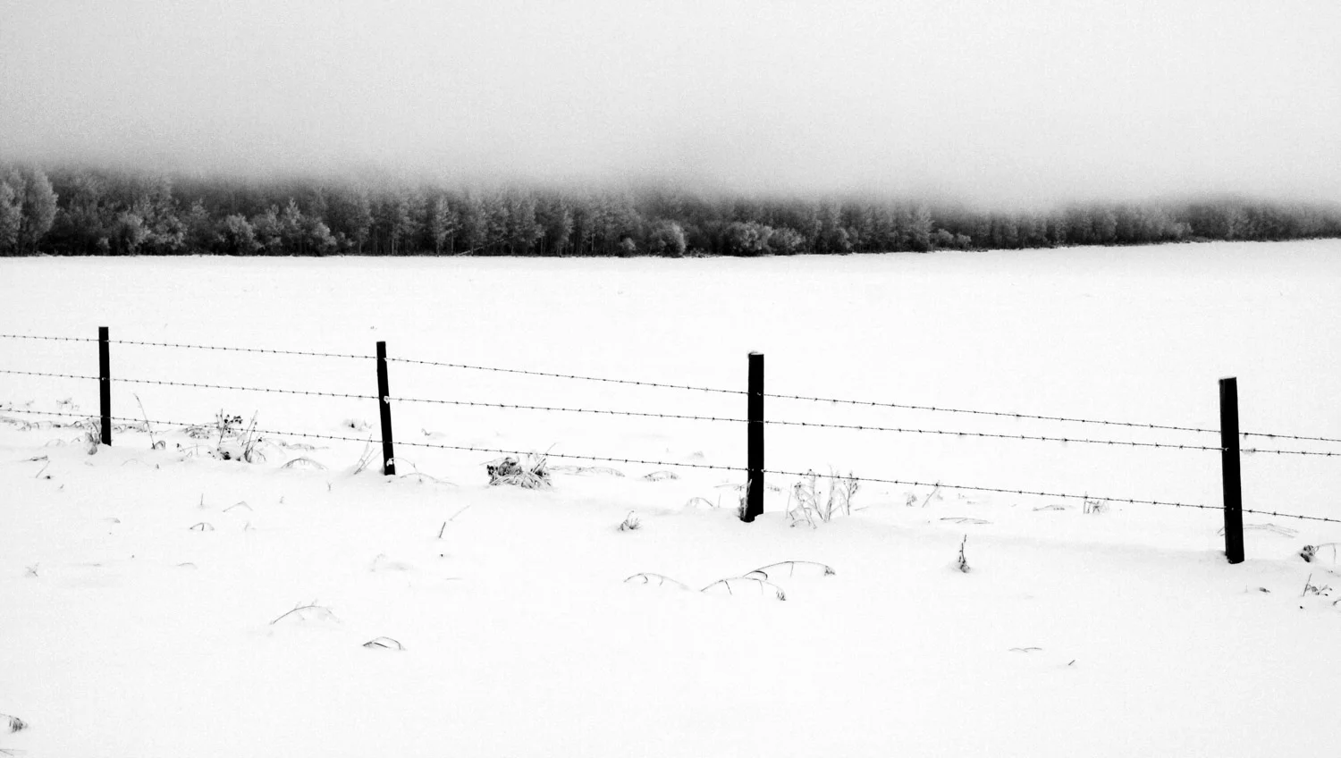 Peace Region, Northern BC