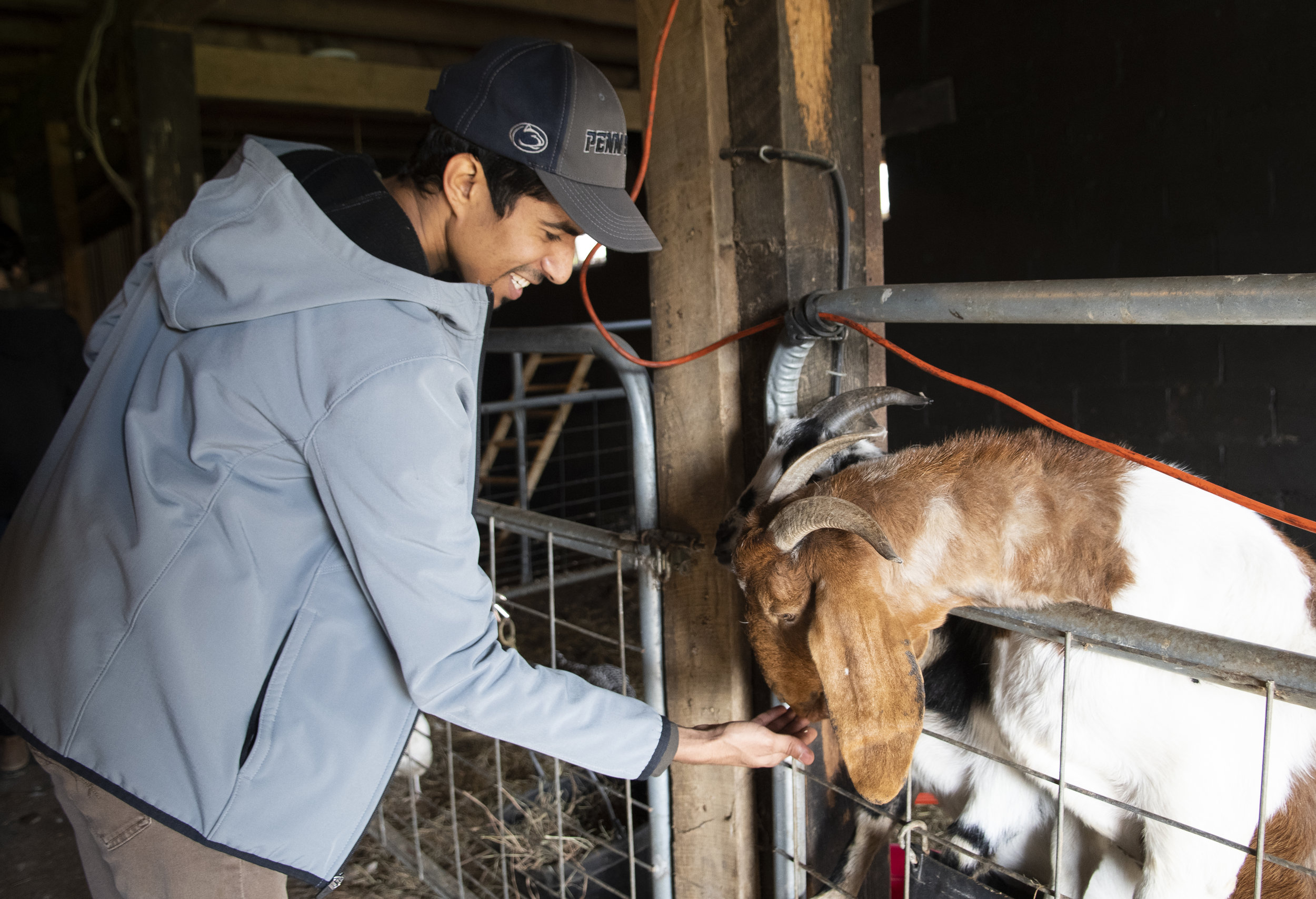 Sulaiman AlAghbari (junior-communication arts and science) feeds a goat during the Crop Mob event at The Barn on Valley View Road in Bellefonte on Nov. 3, 2018. | Photo by: Noah Riffe