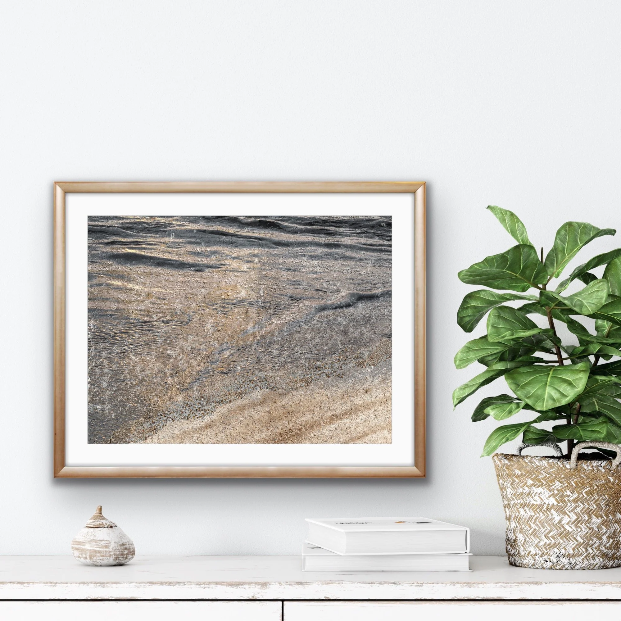 sand dollars_wall view.JPG