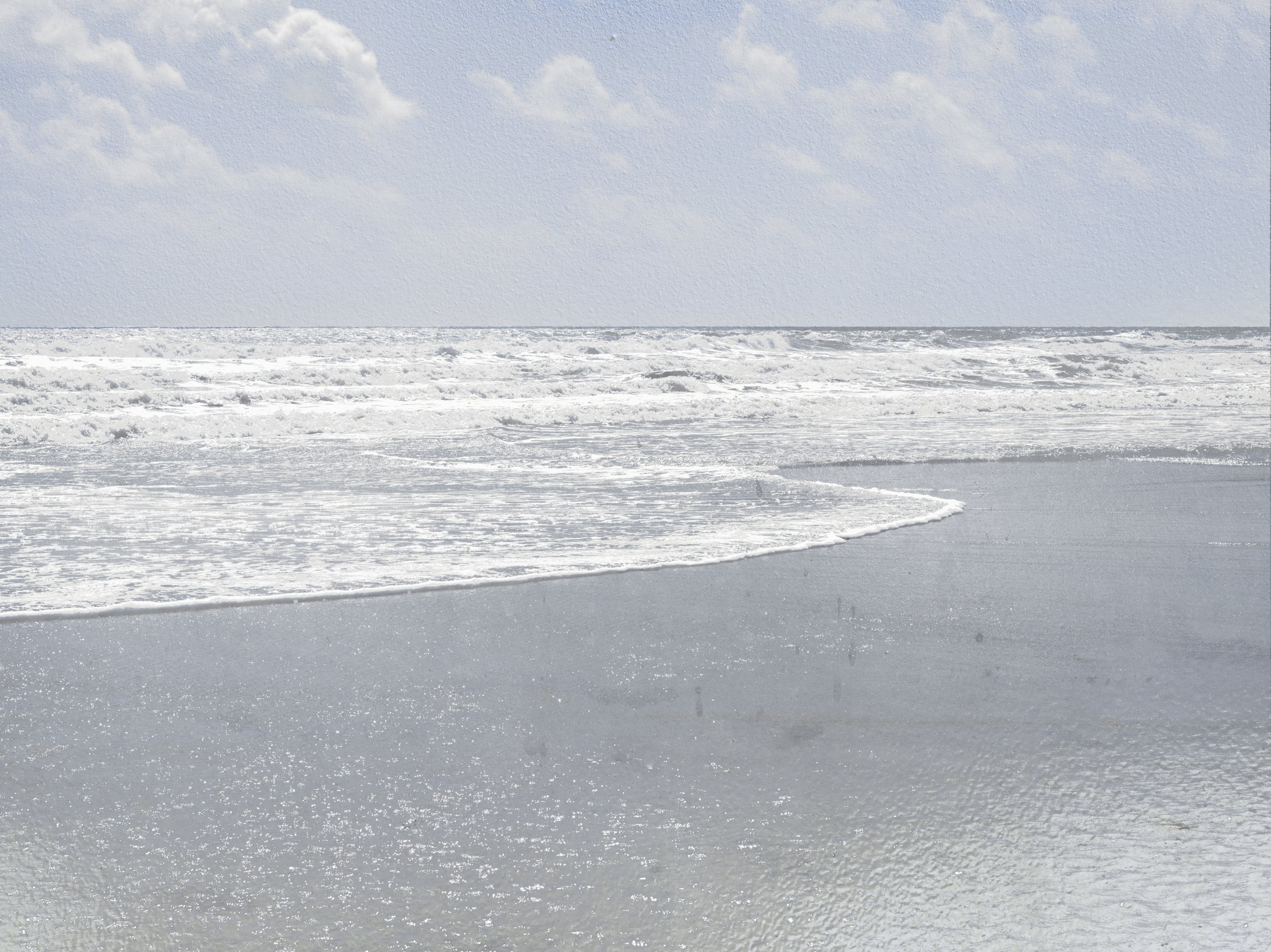 Cumberland Island NS no. 5