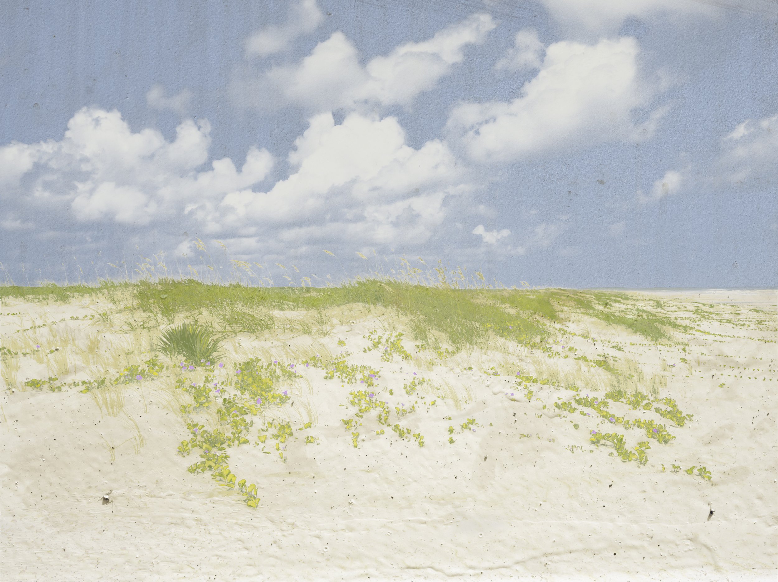 Cumberland Island NS no. 1