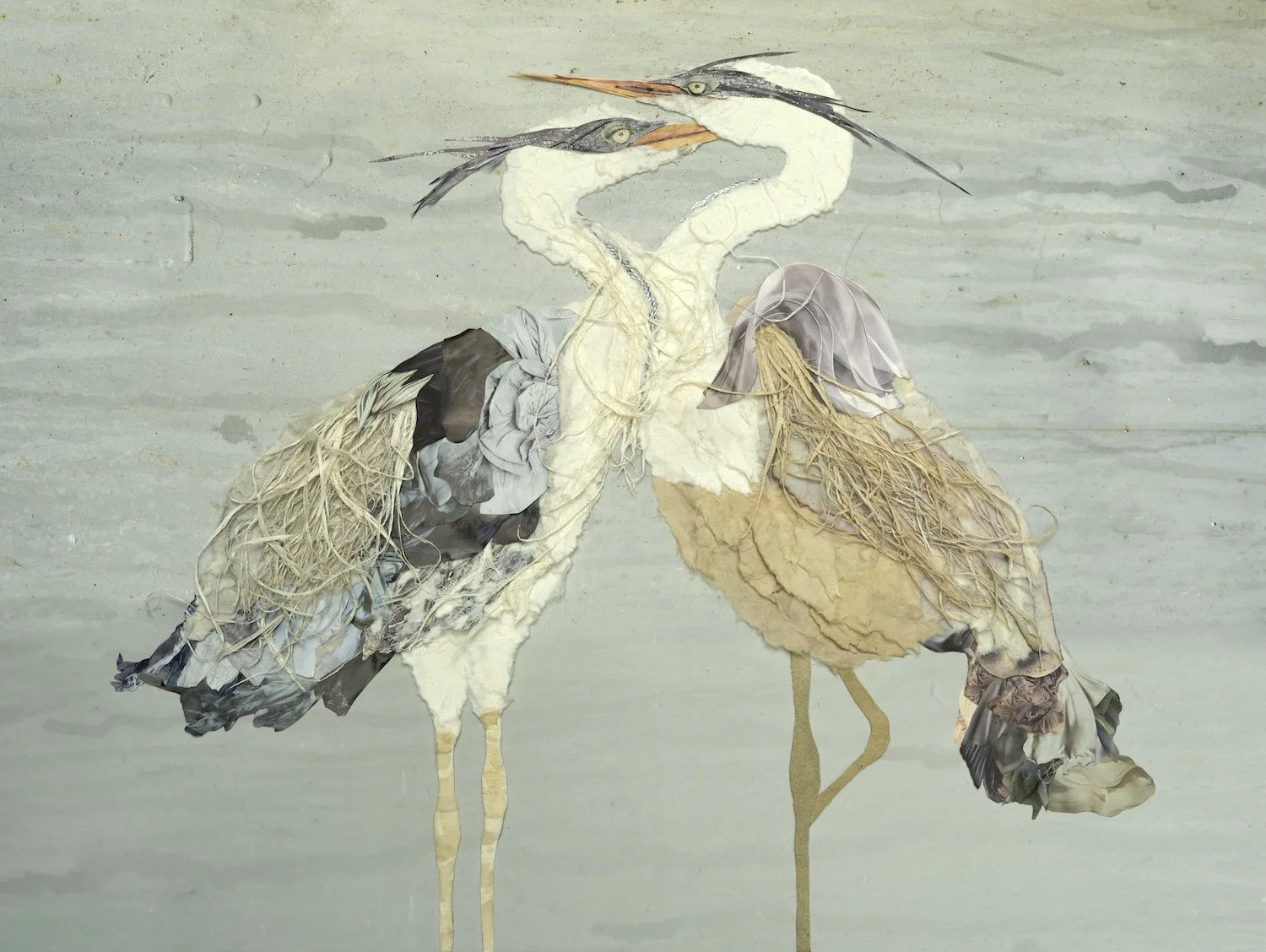 Hot Couture Herons_30x40_JMR.jpg