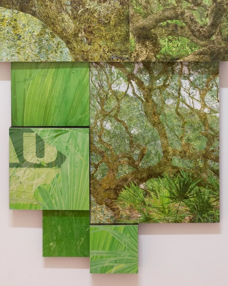 McKINNON_Jennifer-Cumberland Island Maritime Forest_detail 02.jpg