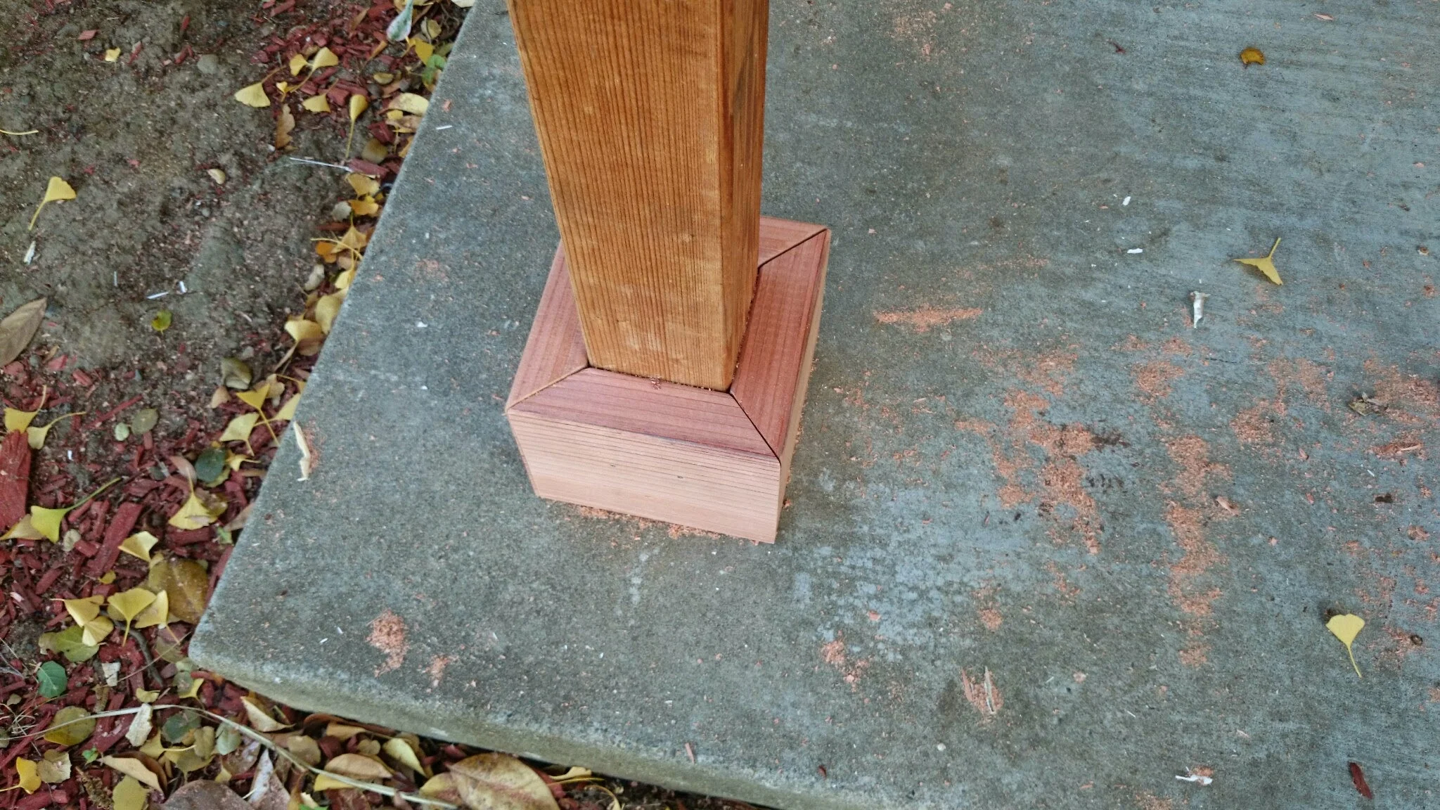 DSC_0347.jpg