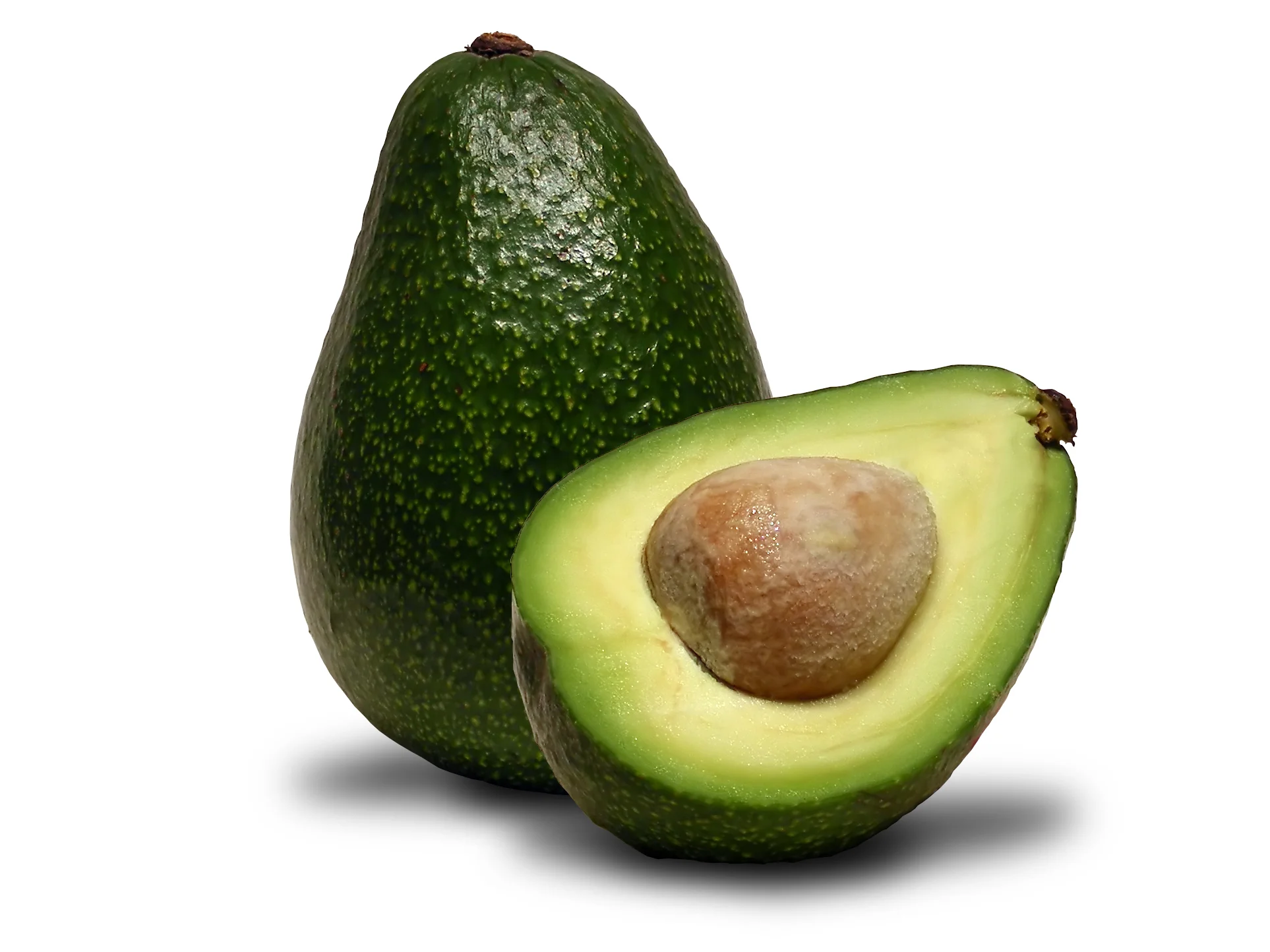 avocado-04.jpg