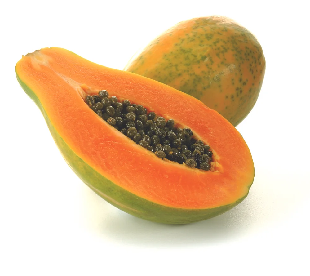 Papaya-Amazing.jpg