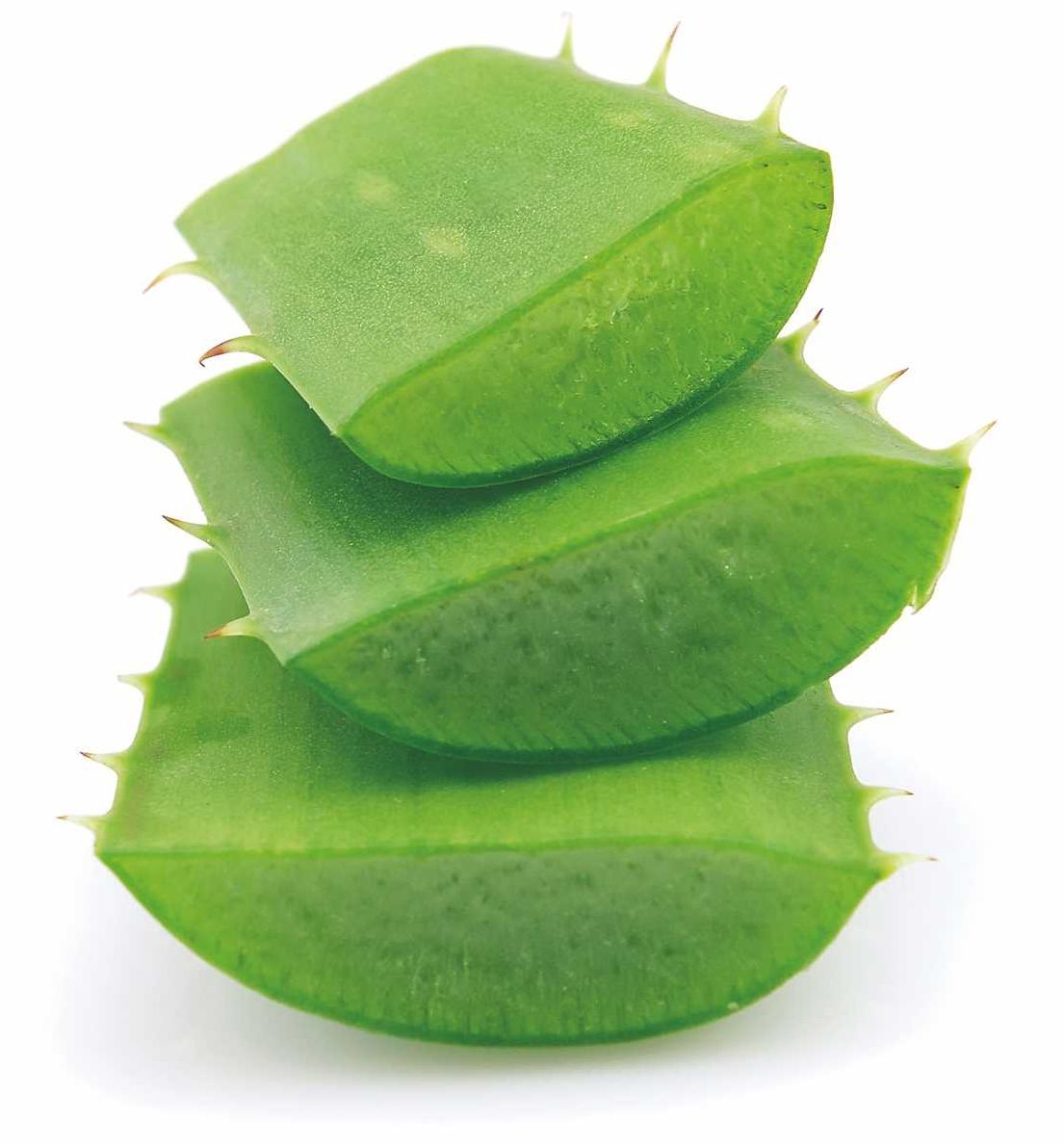 Aloe.jpg
