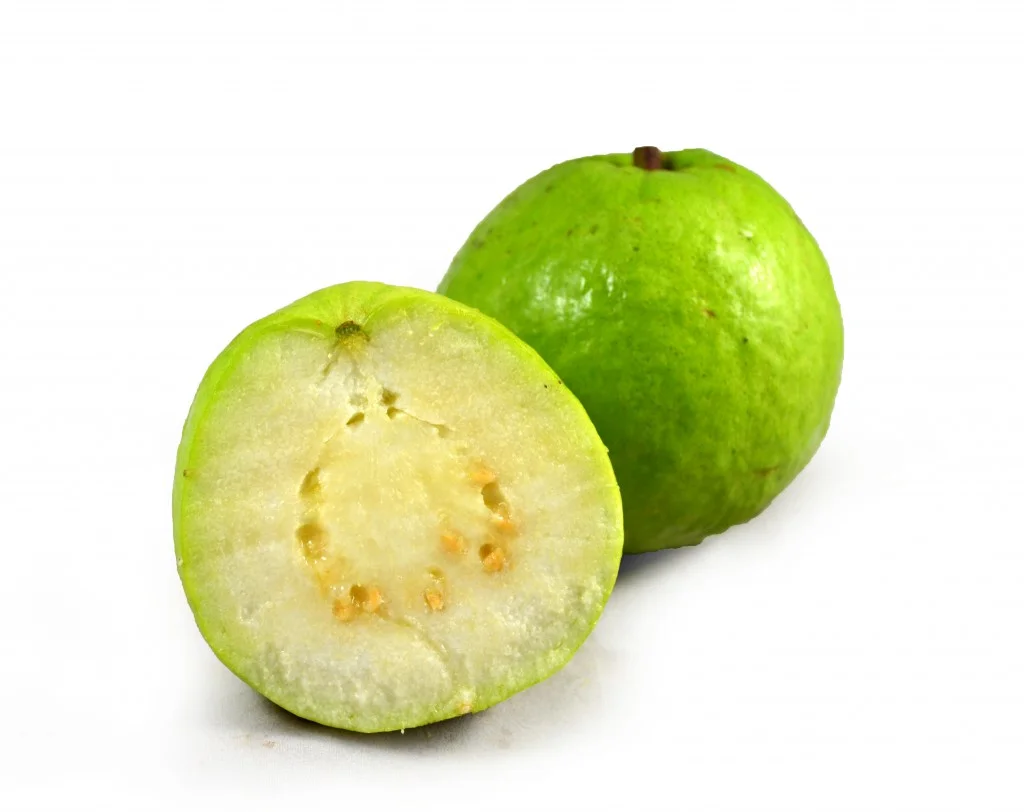 apple_guava_fruit_white_background.jpg