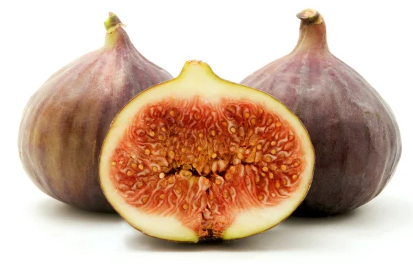 garden17-art-gf2ldkso-1brown-turkey-fig.jpg