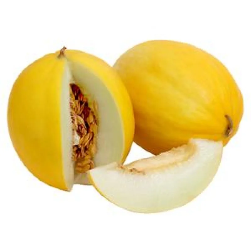 canary_melon_sun_melon_500_gm.jpg