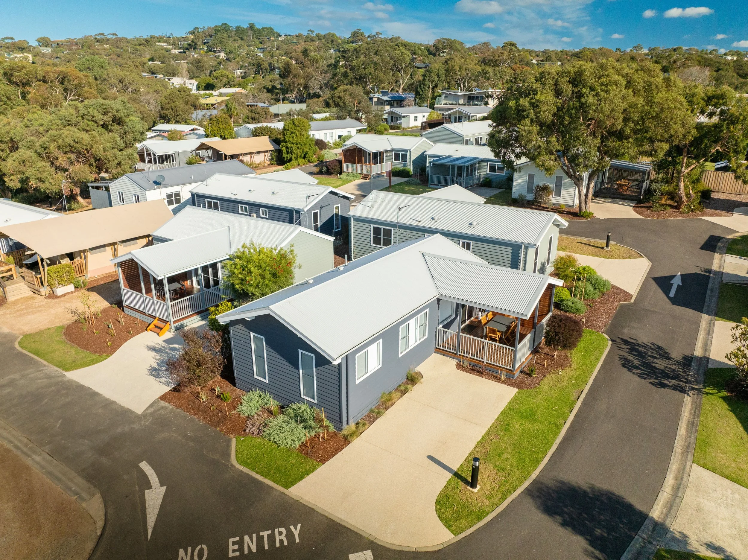 TDH Big4-0936 (1).jpg