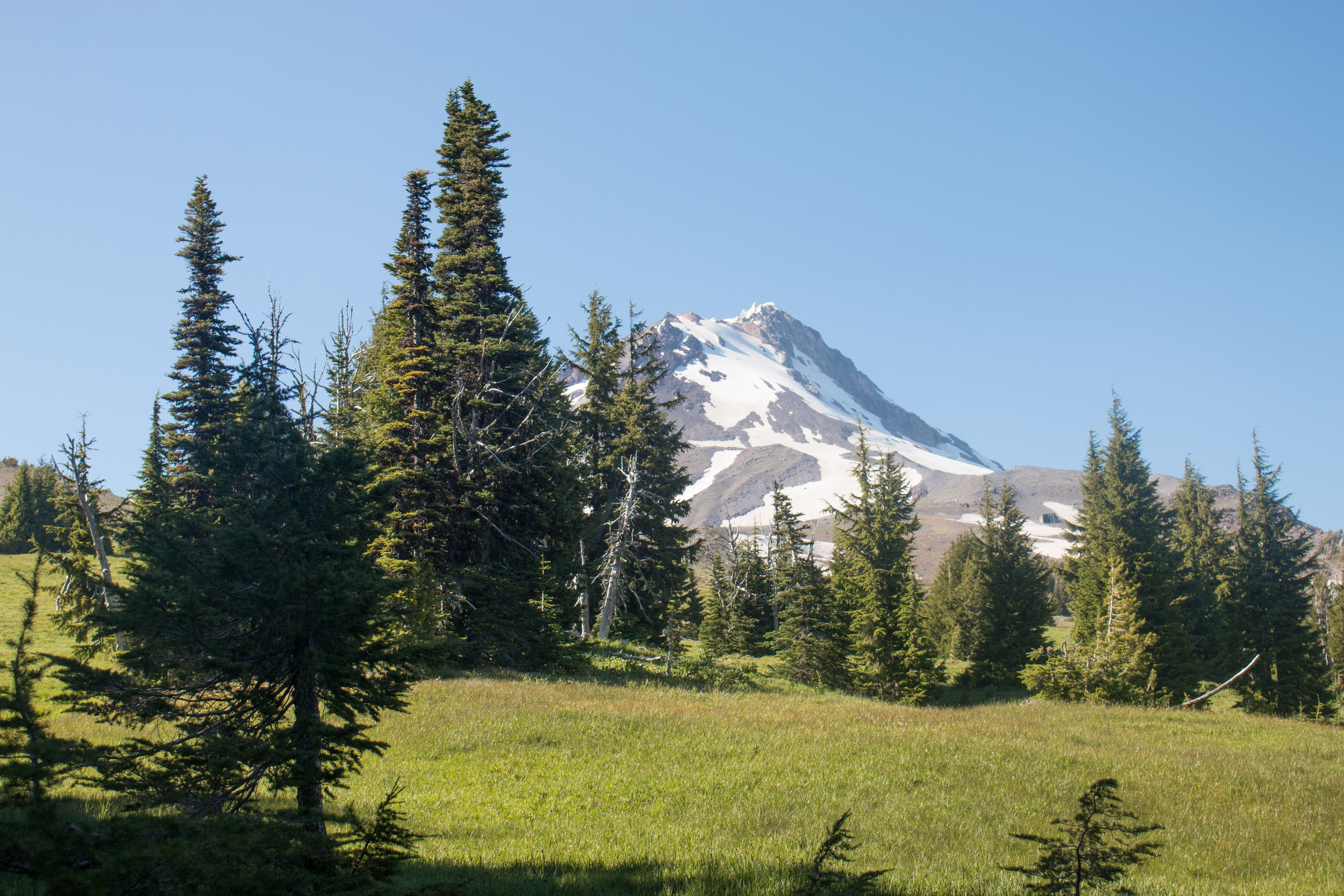 TimberlineTrail-0007.jpg