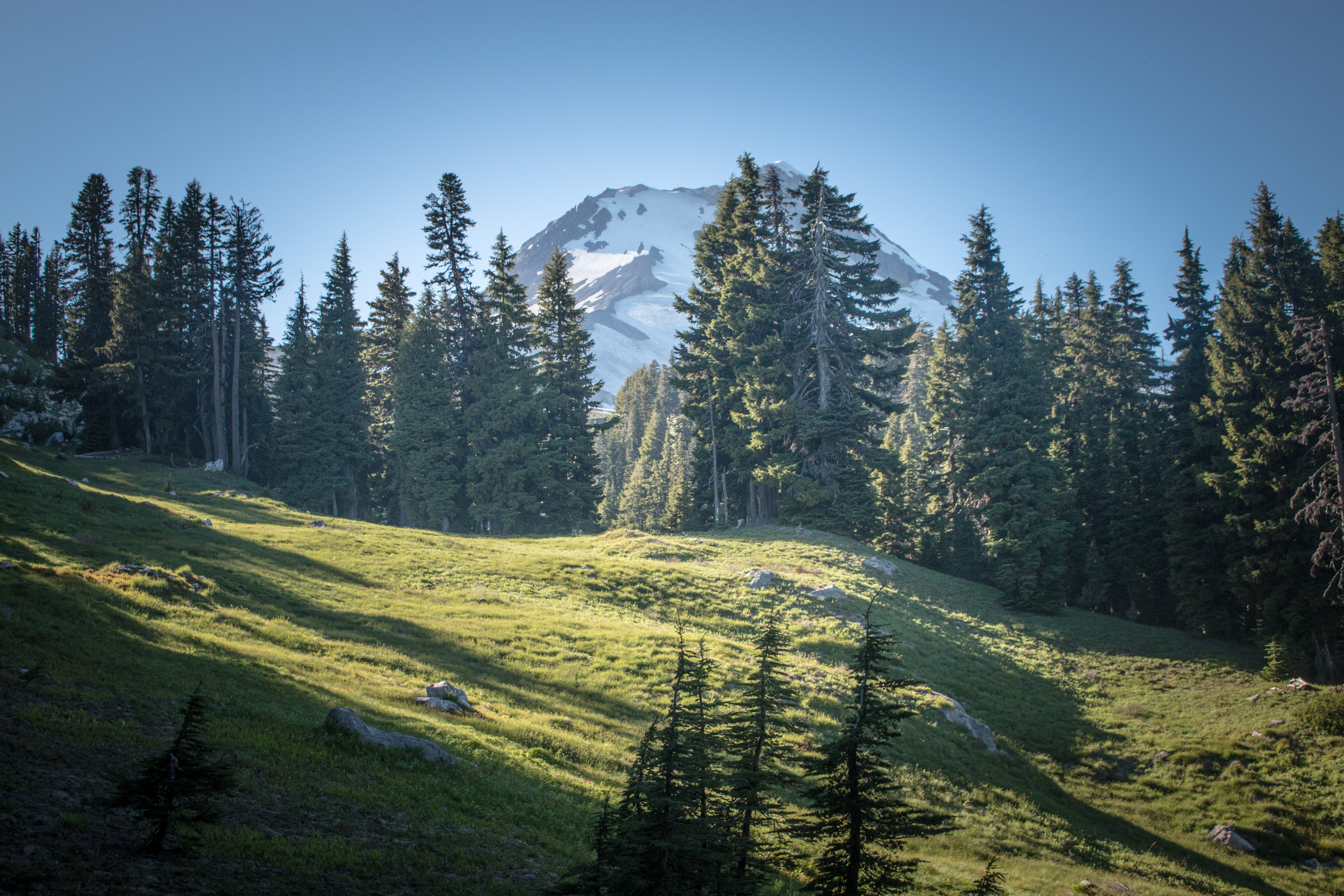 TimberlineTrail-0011.jpg
