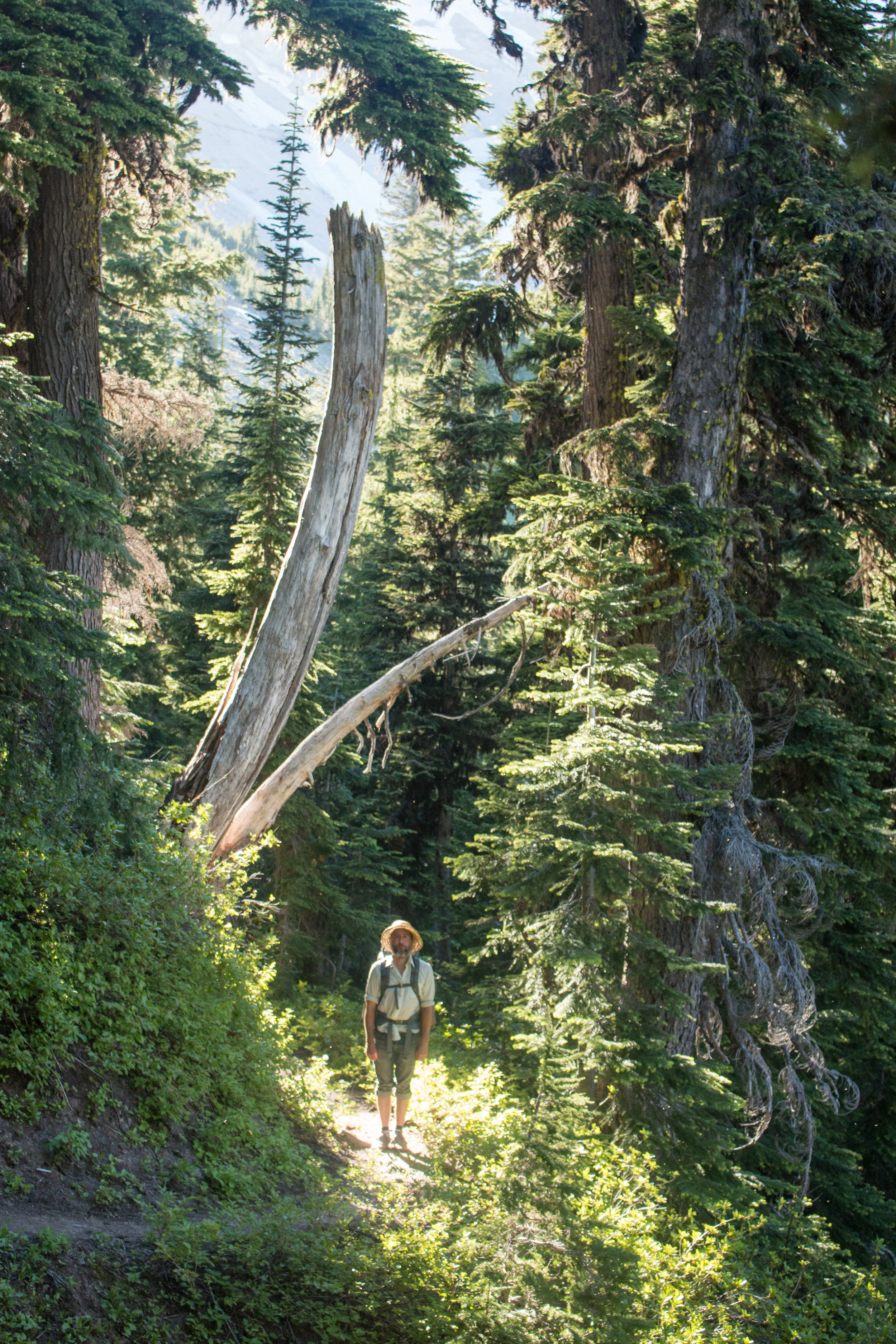 TimberlineTrail-0012.jpg