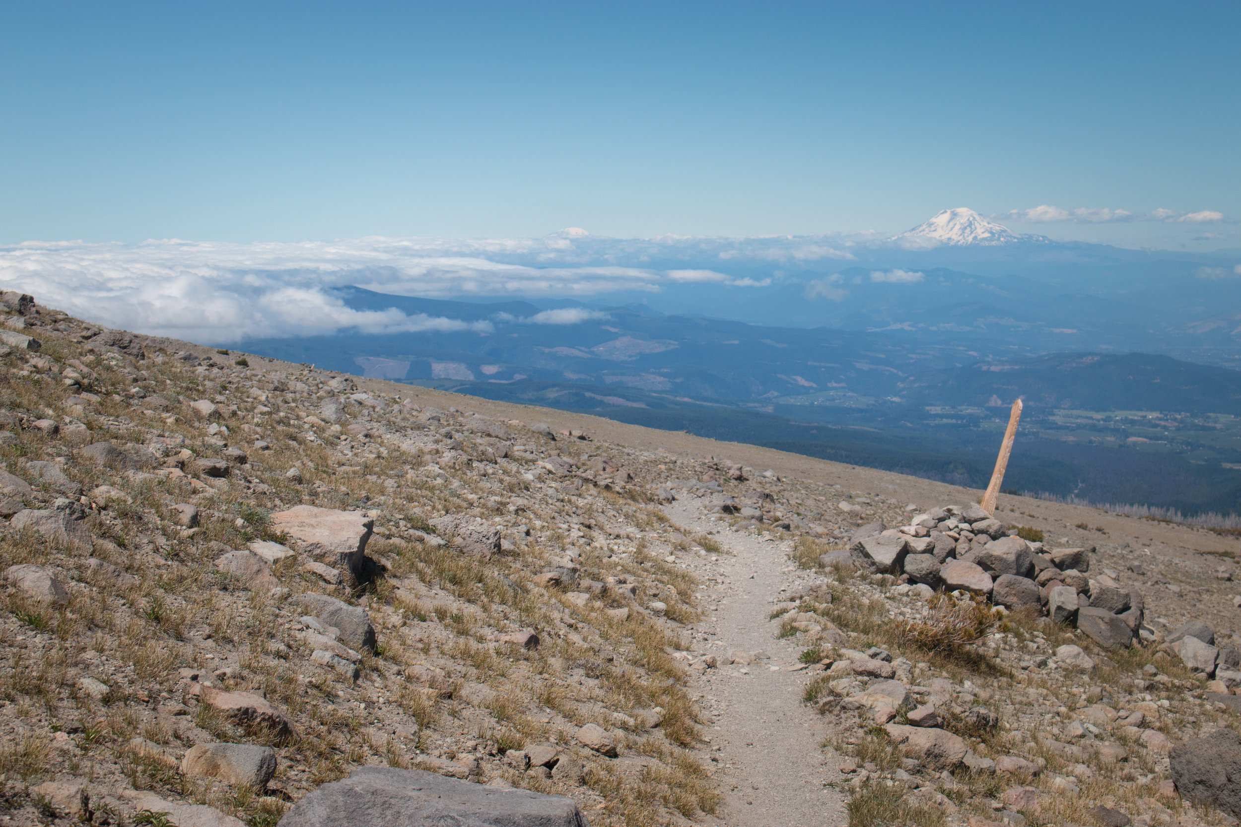 TimberlineTrail-0033.jpg