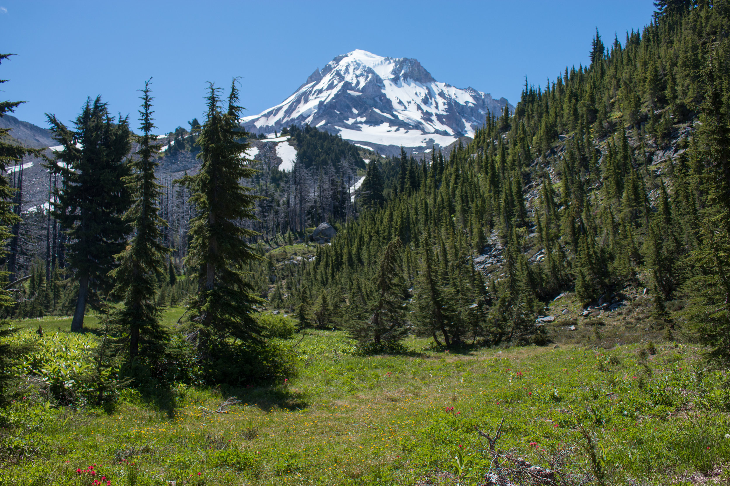 TimberlineTrail-0054.jpg