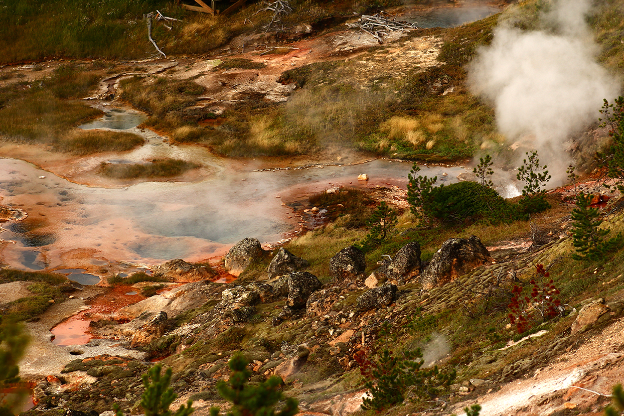 Yellowstone-Painted1-web.jpg