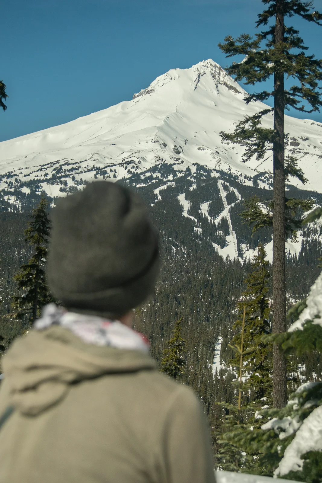 BenettPass-MtHood-LookingBack.jpg