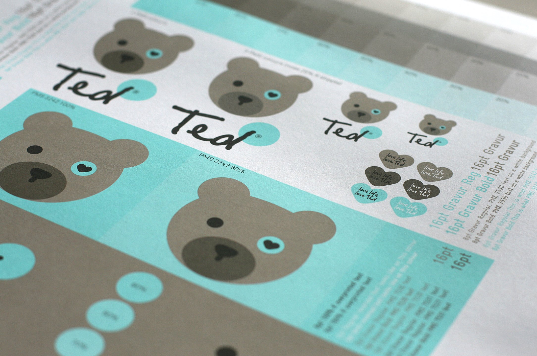 Ted_02.jpg