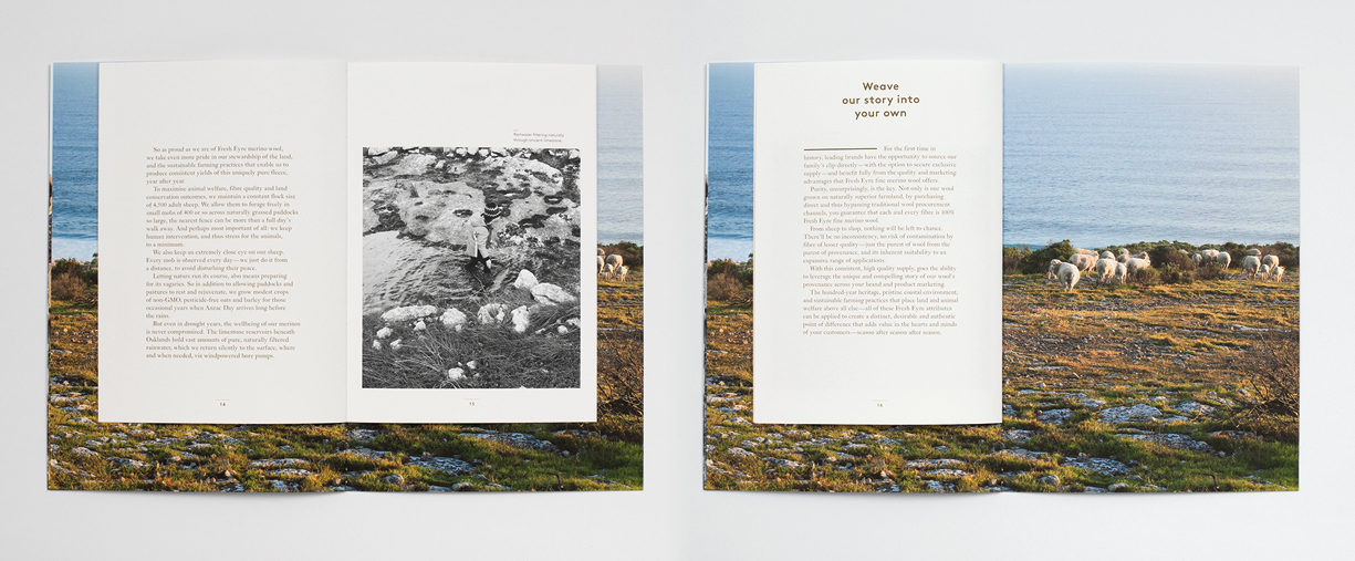 double-spread2.jpg